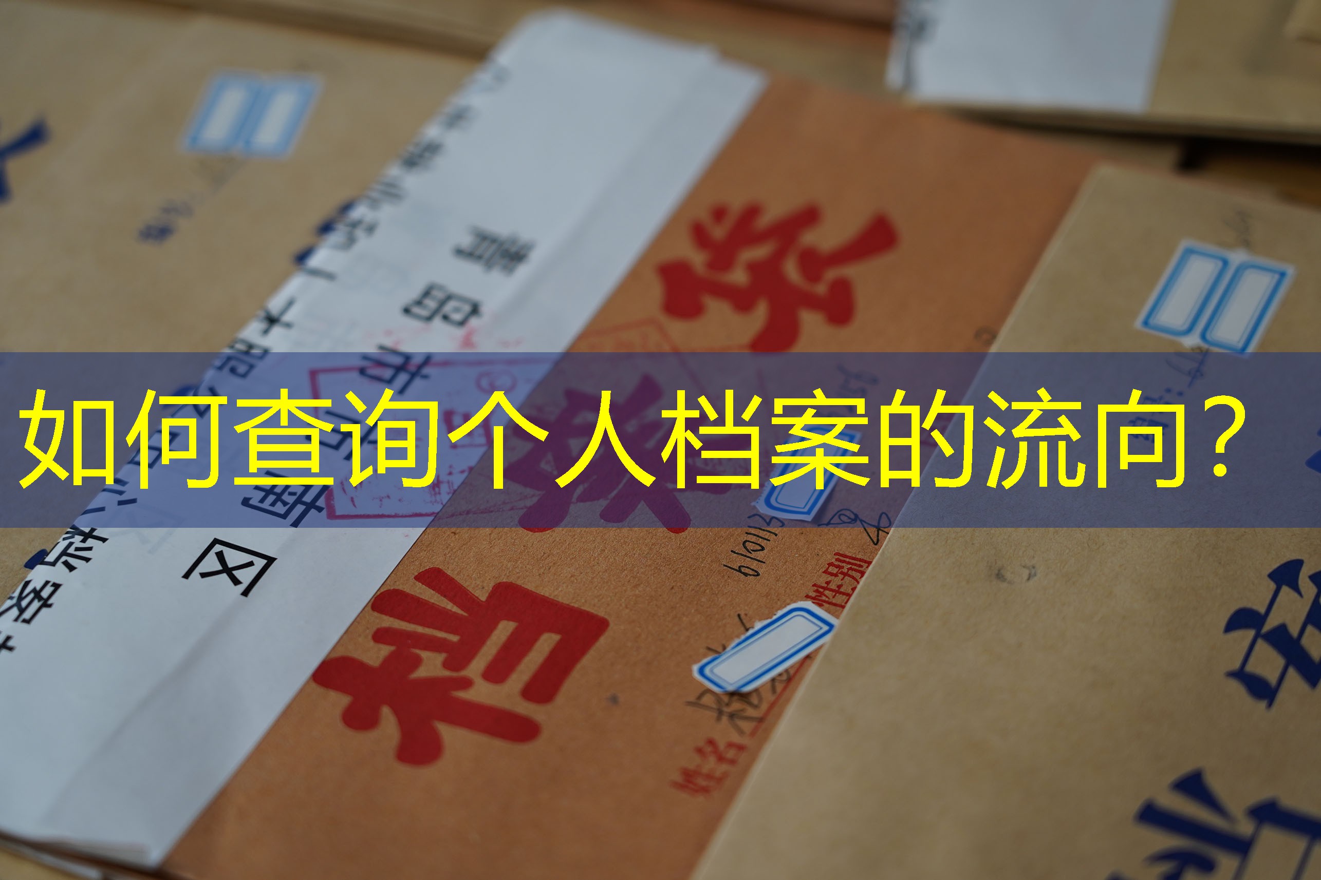 档案查询