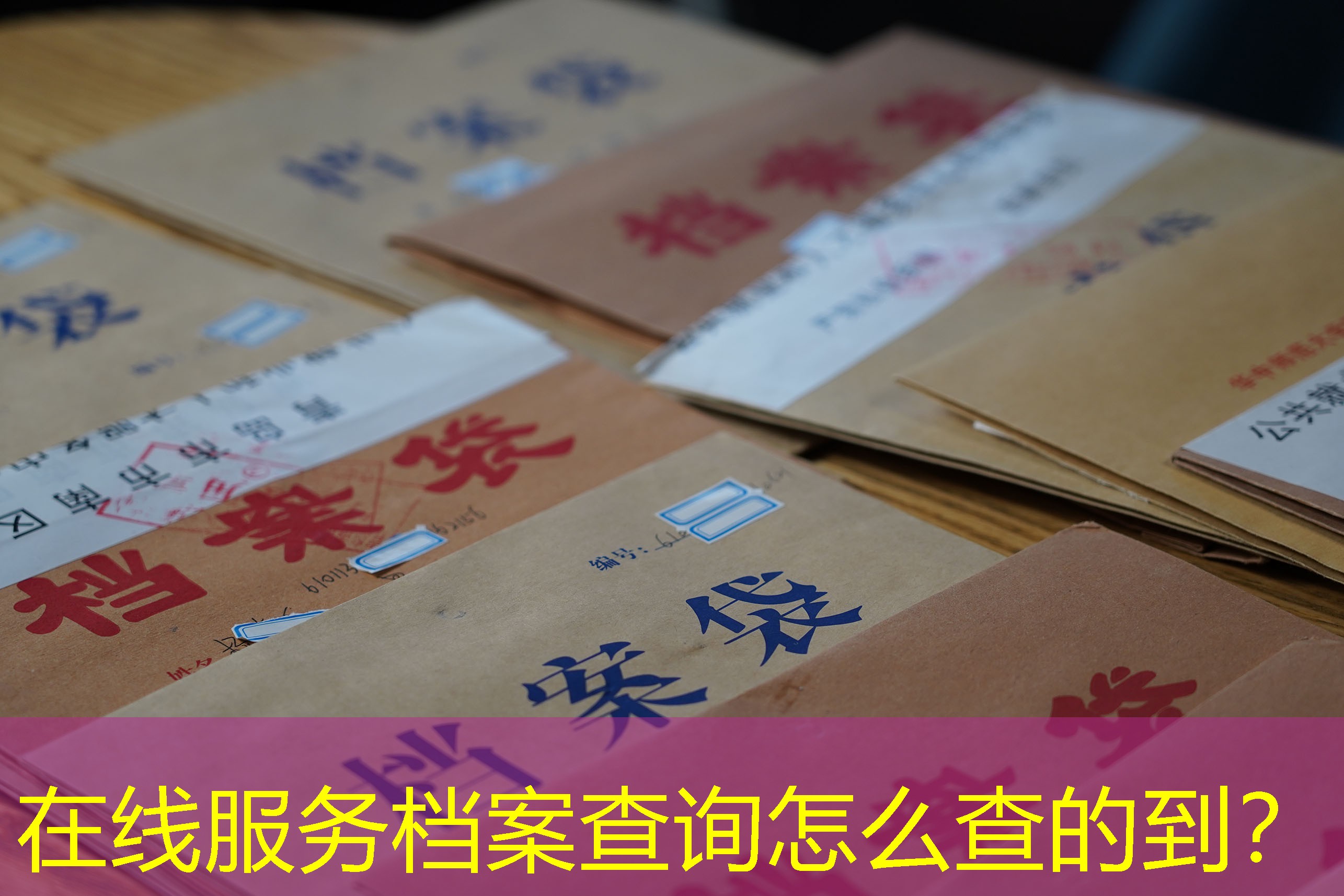 档案查询