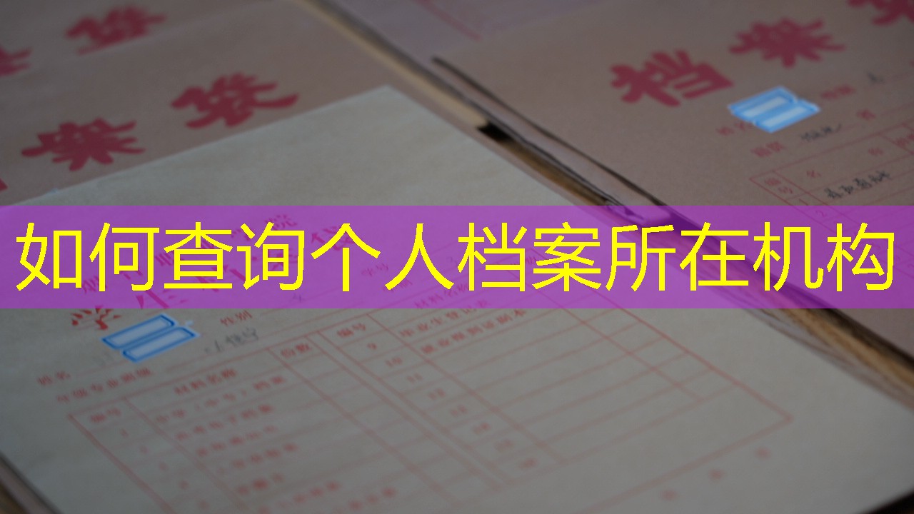 档案查询