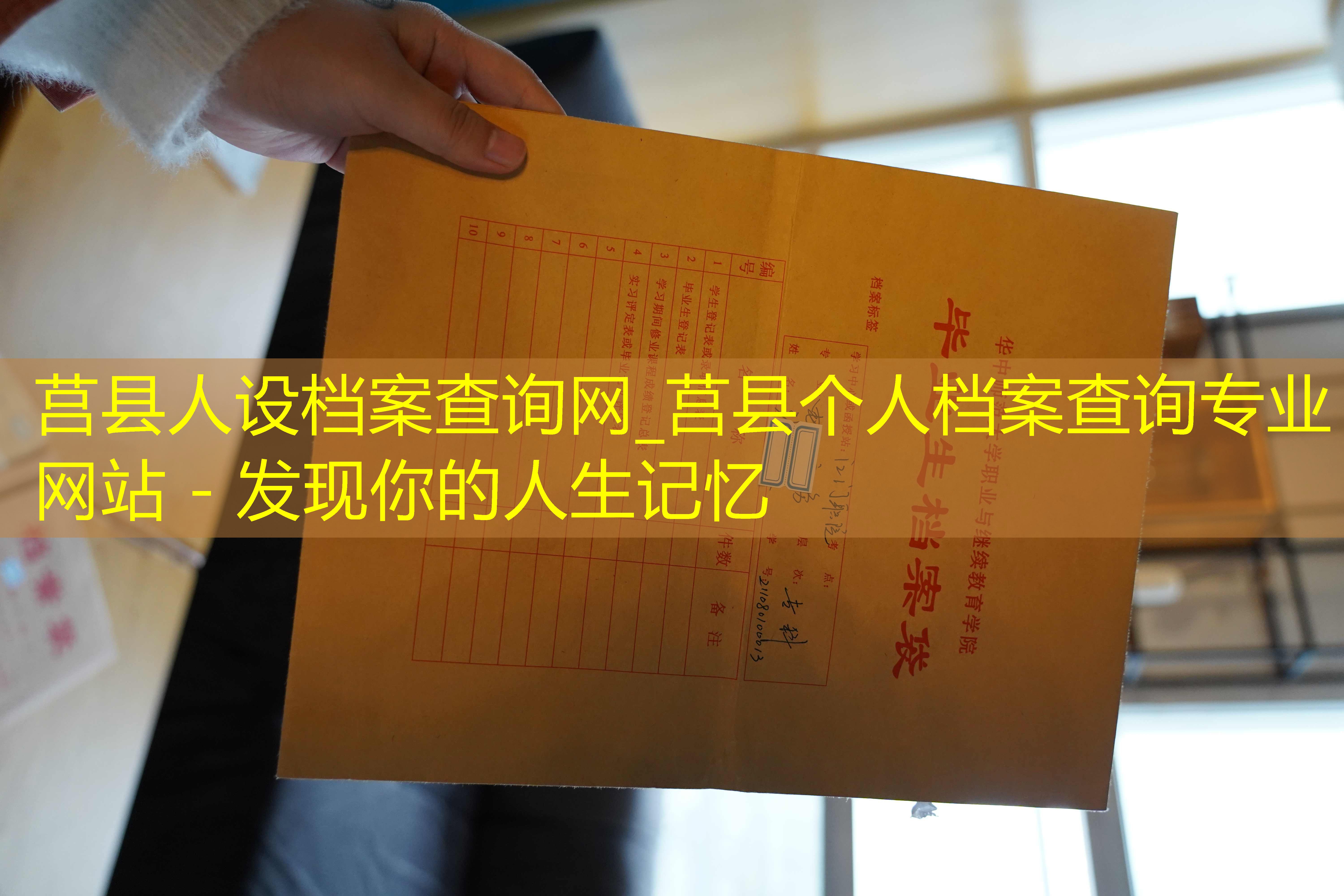 档案查询