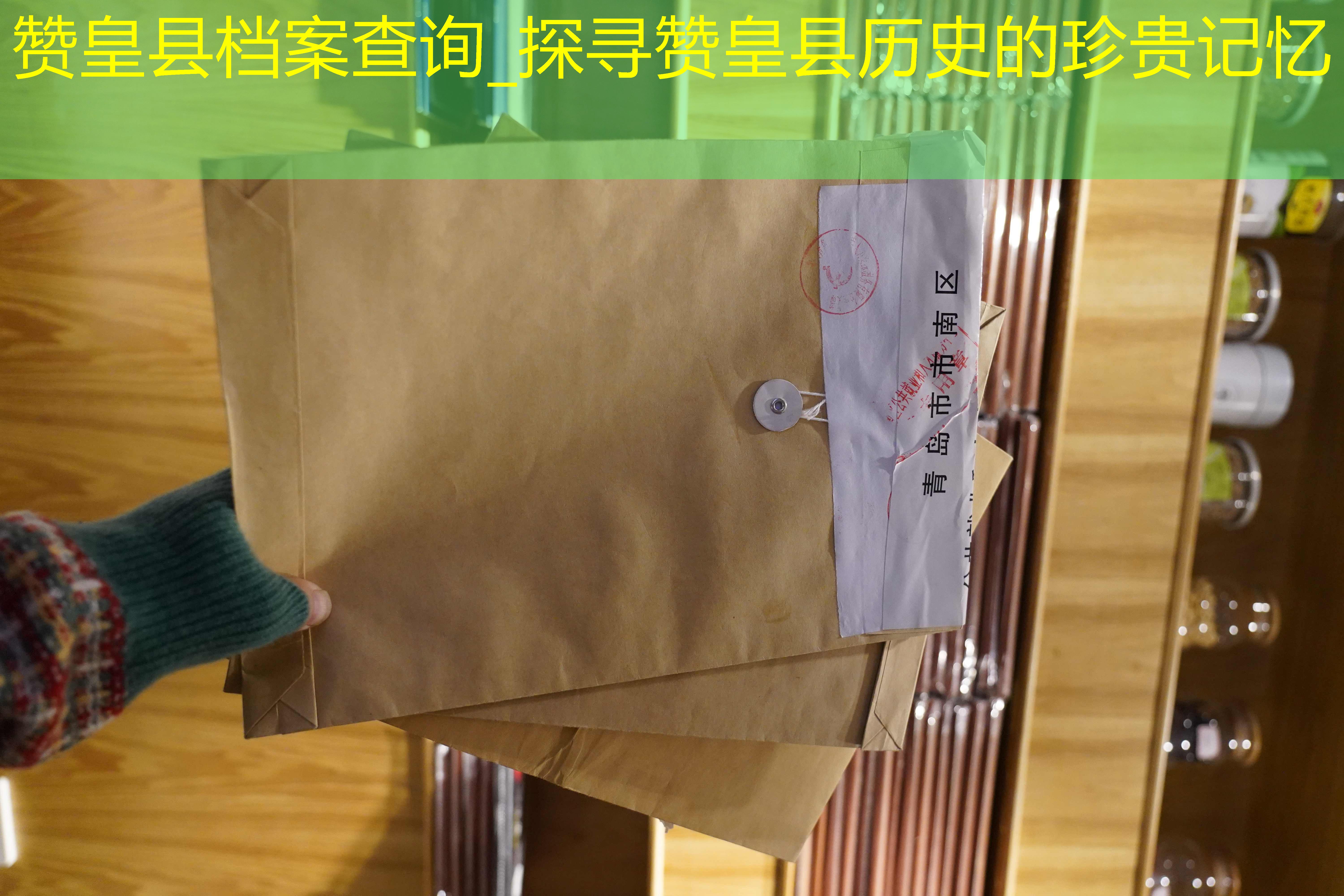 档案查询