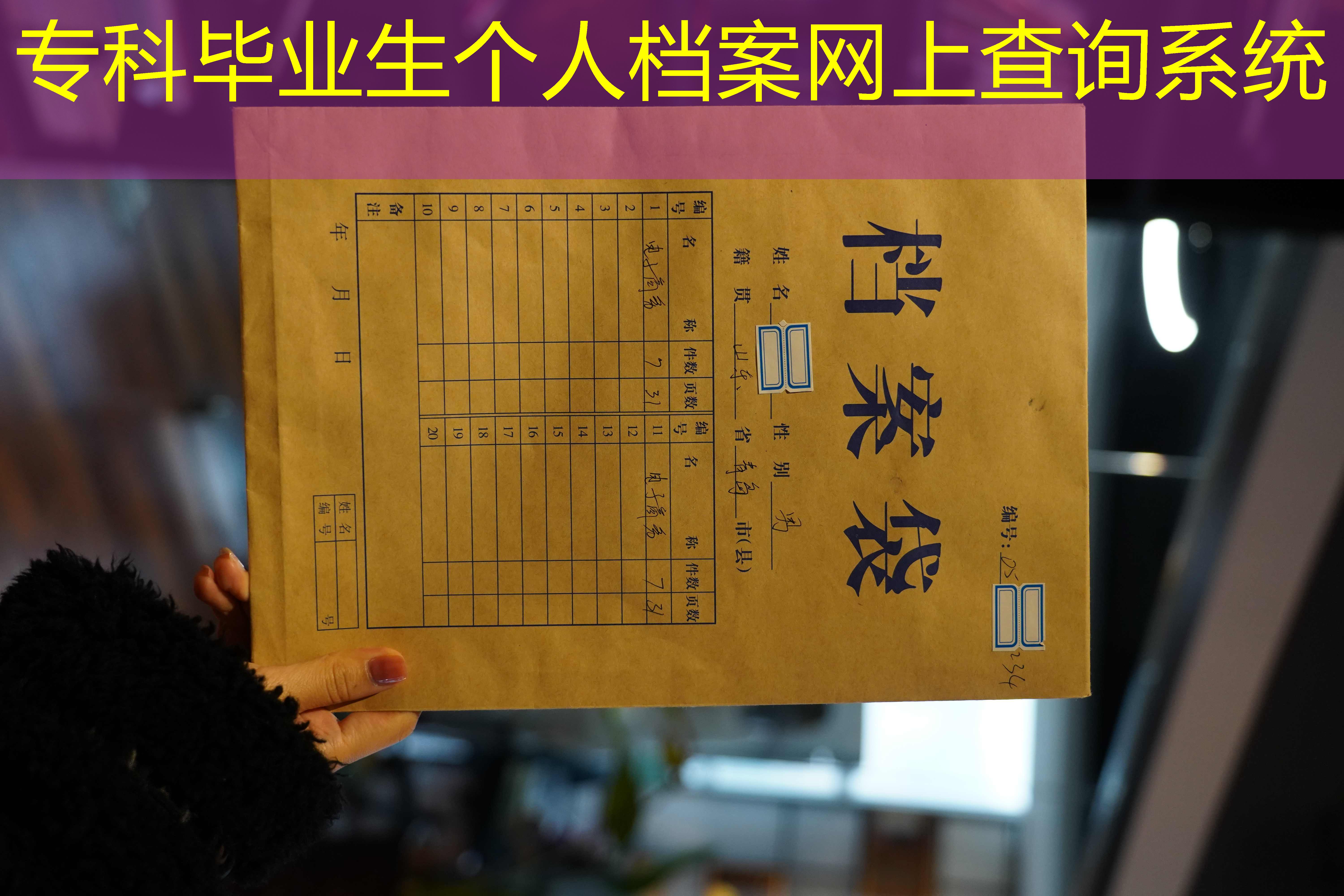 档案查询