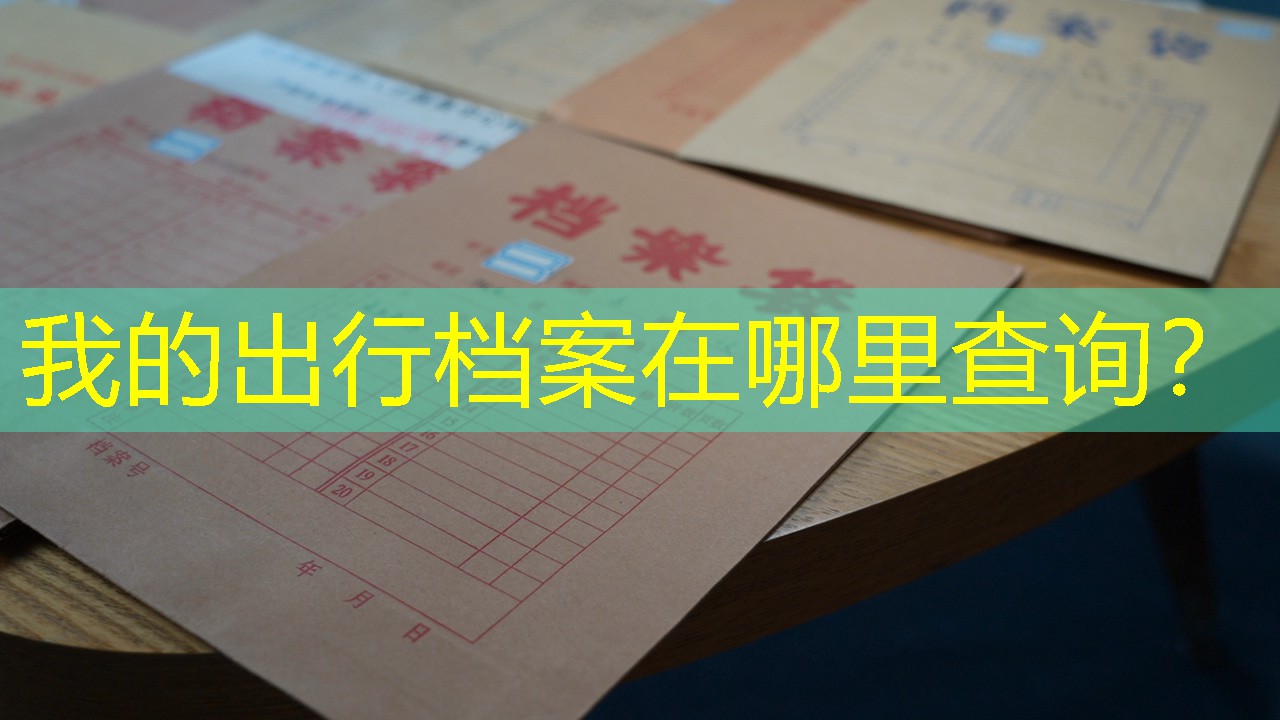 档案查询