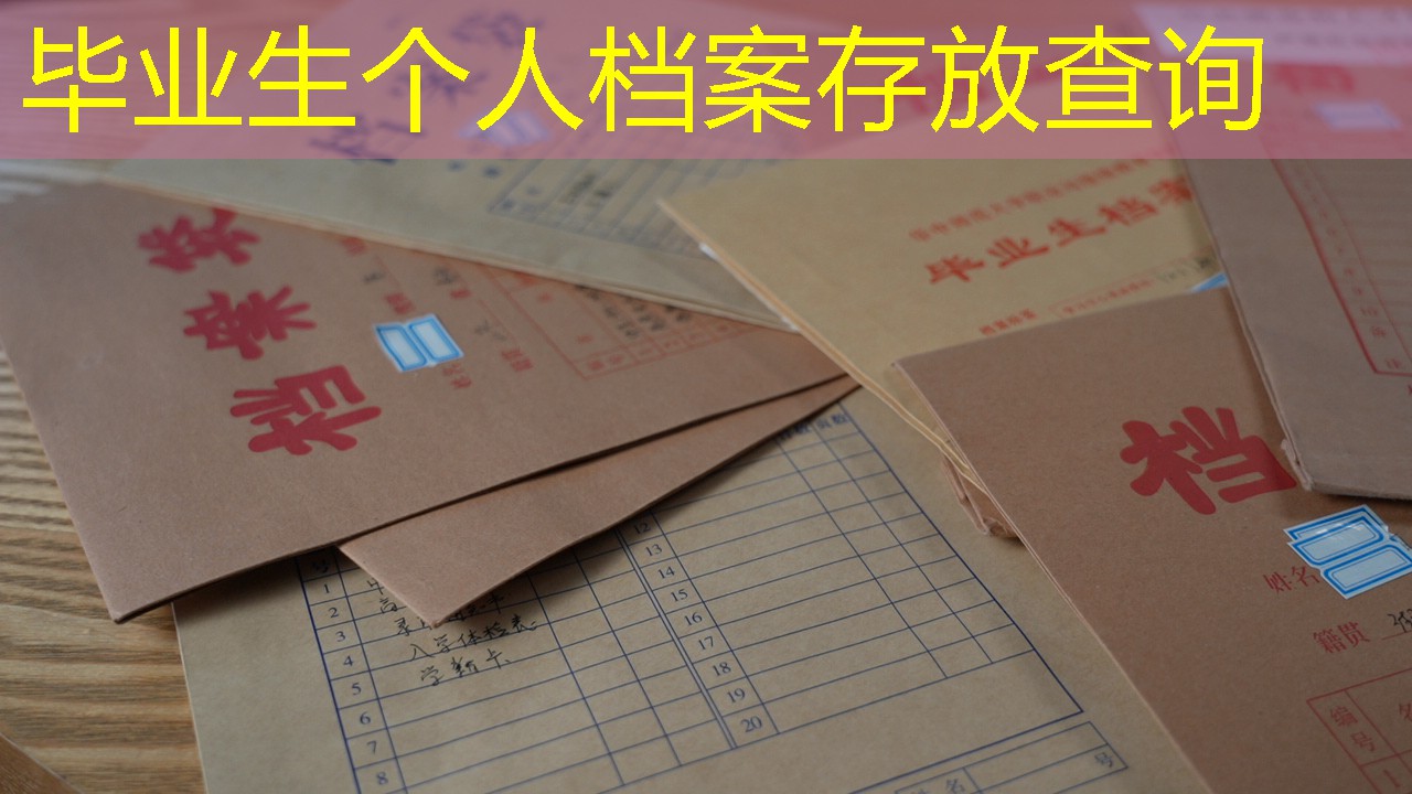 档案查询