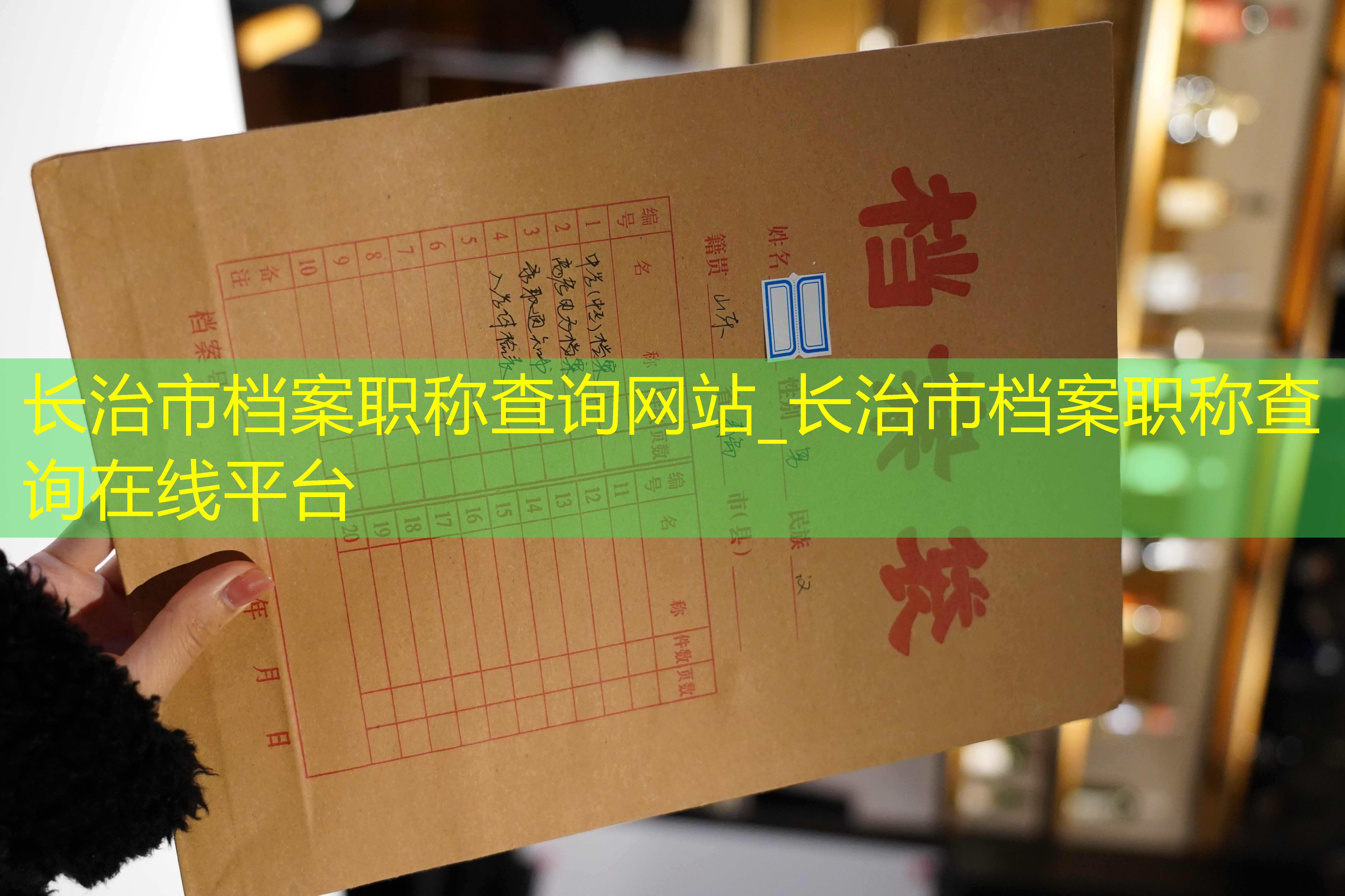 档案查询