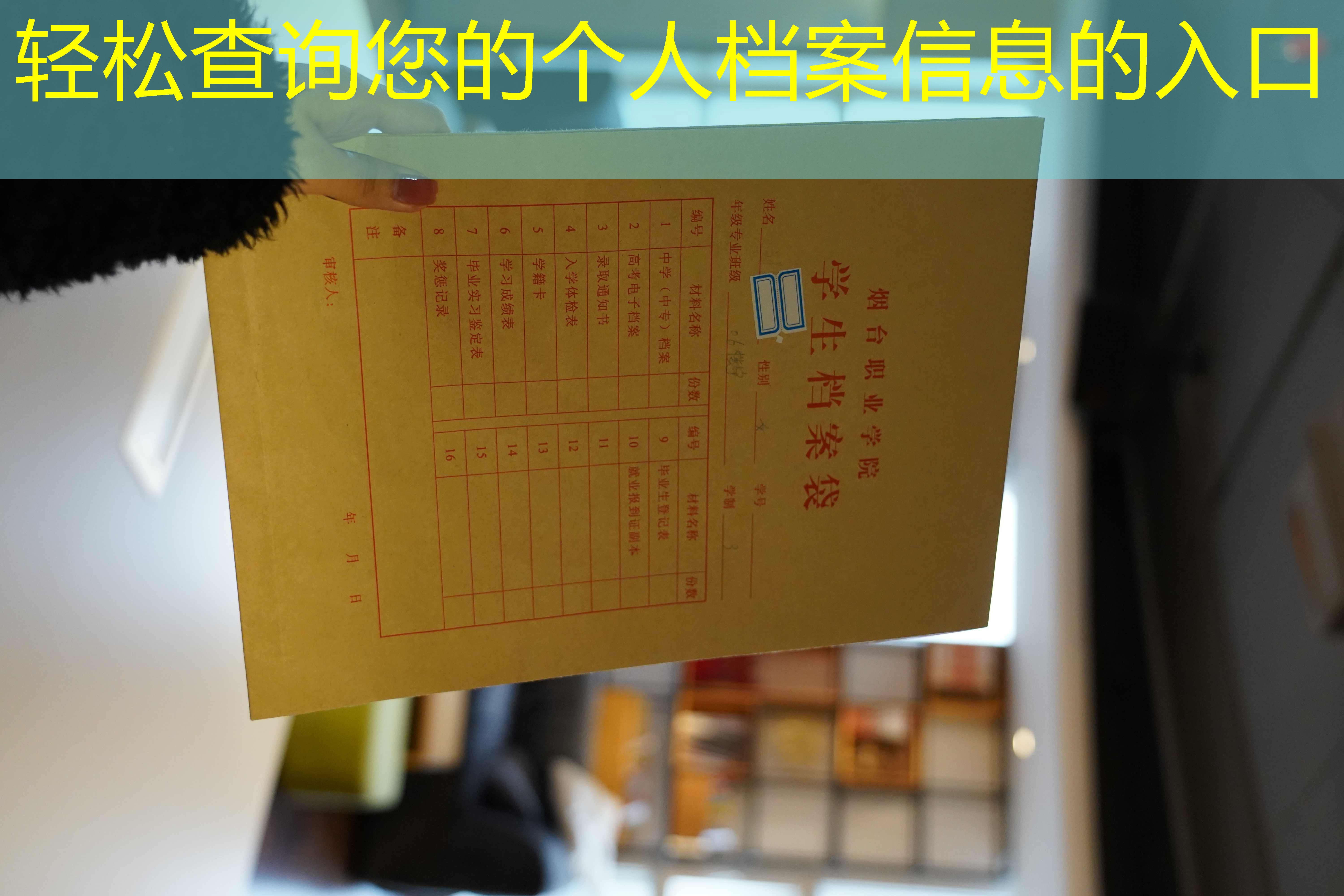 档案查询