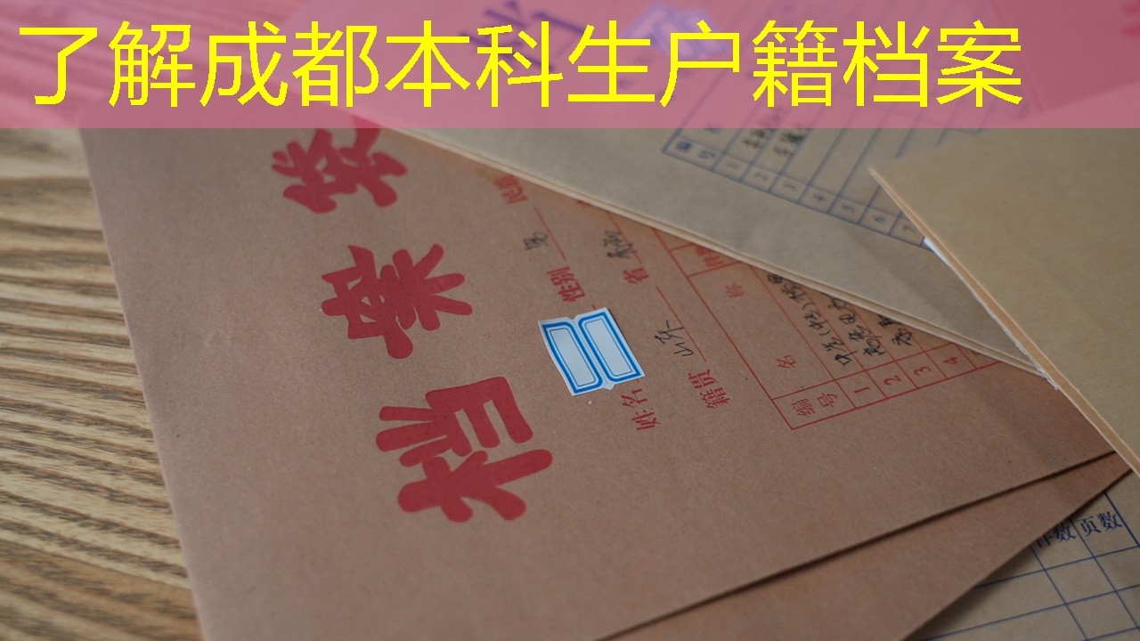 档案查询