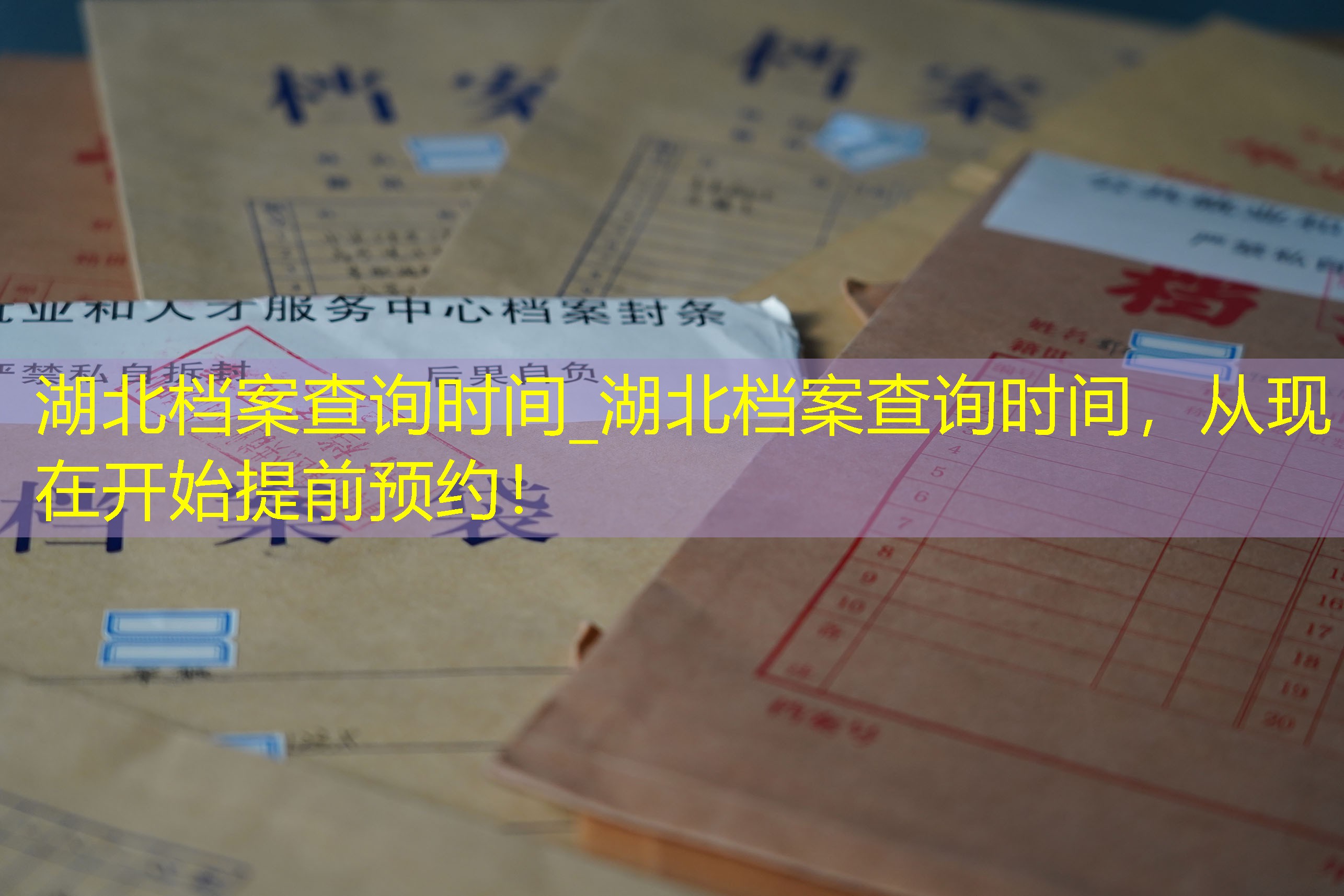 档案查询
