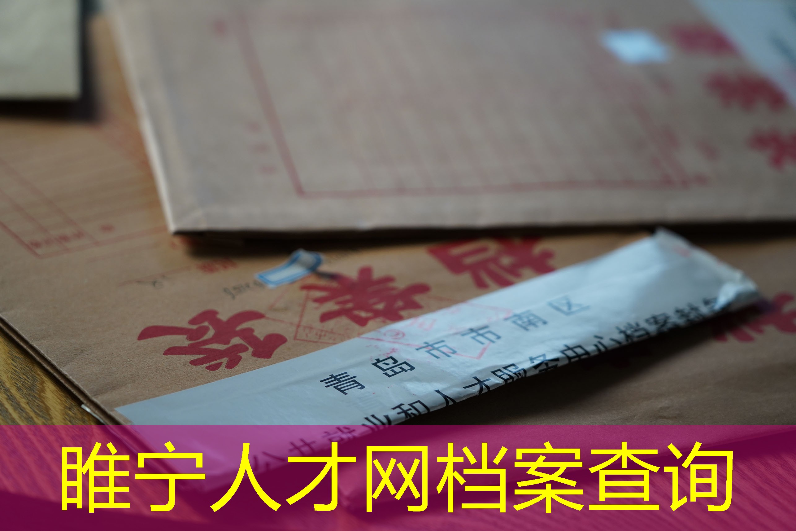 档案查询