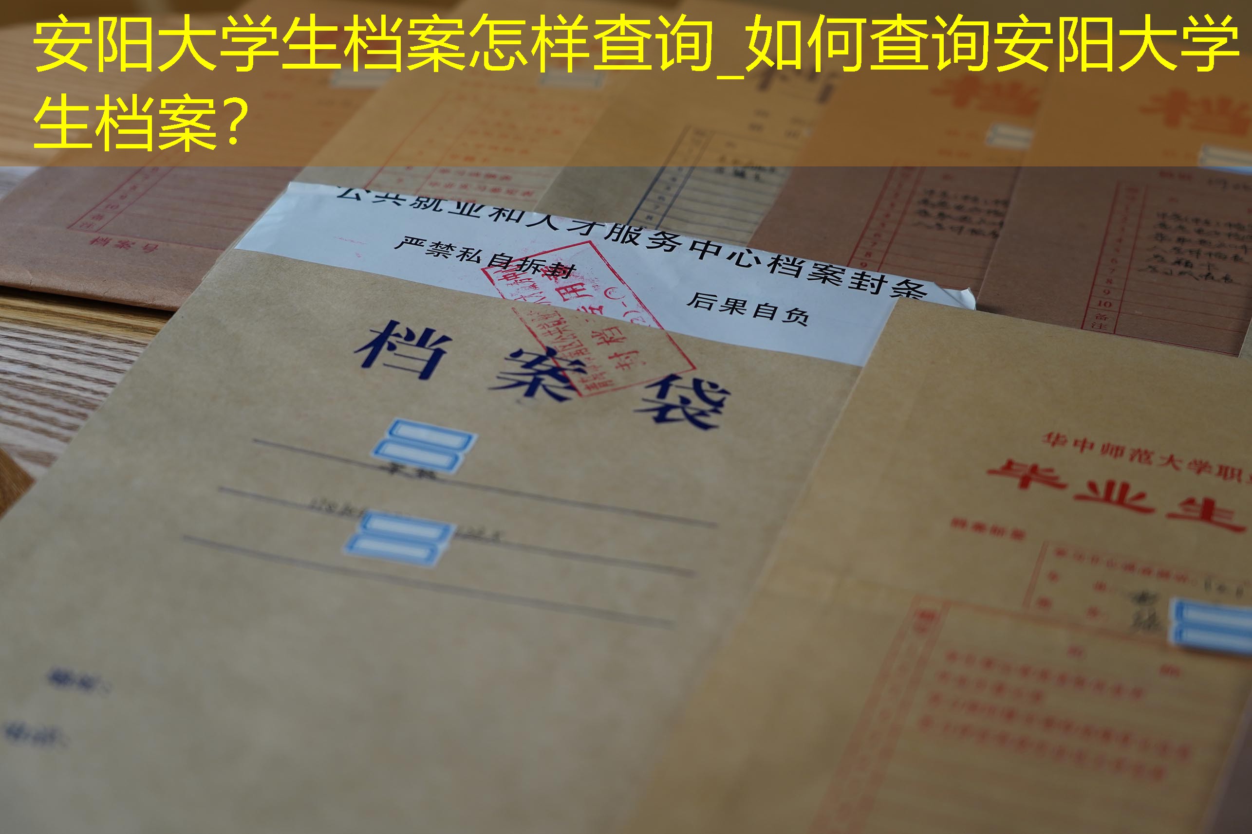 档案查询