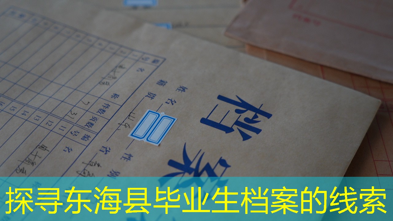 档案查询