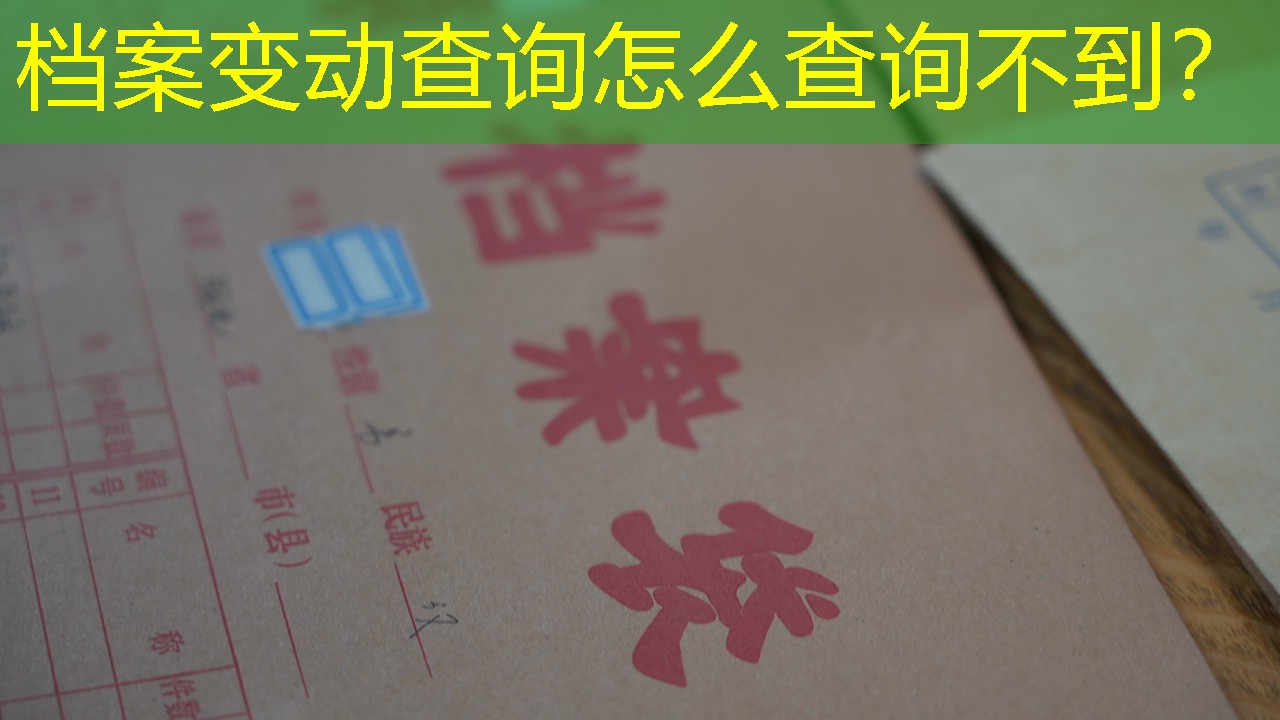 档案查询