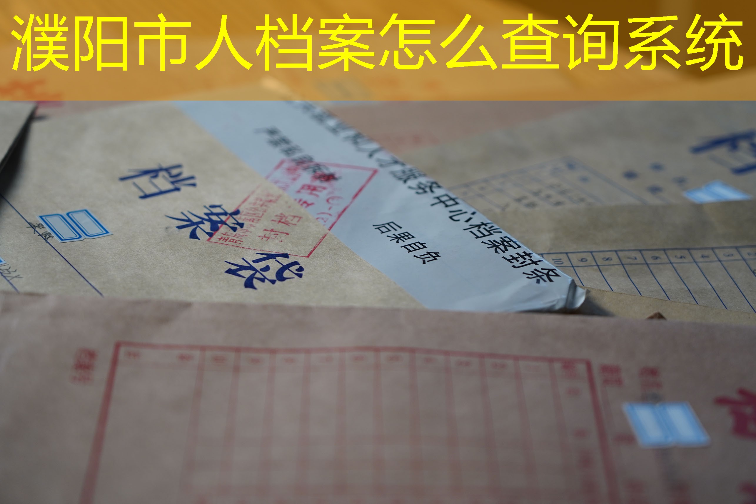 档案查询