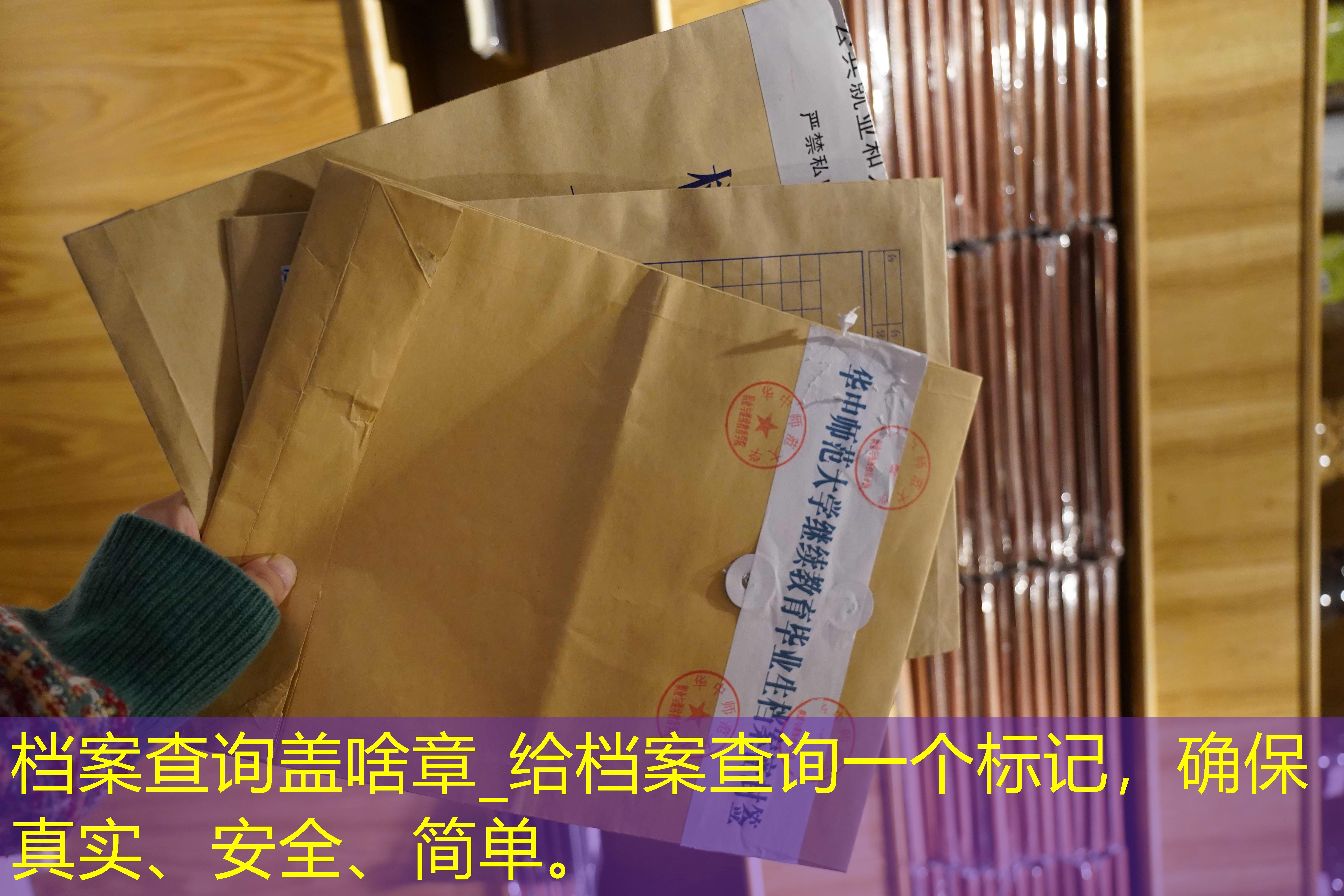 档案查询