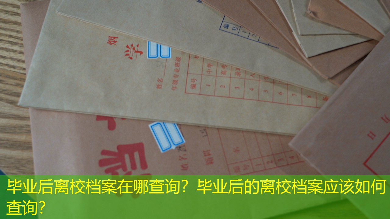 档案查询