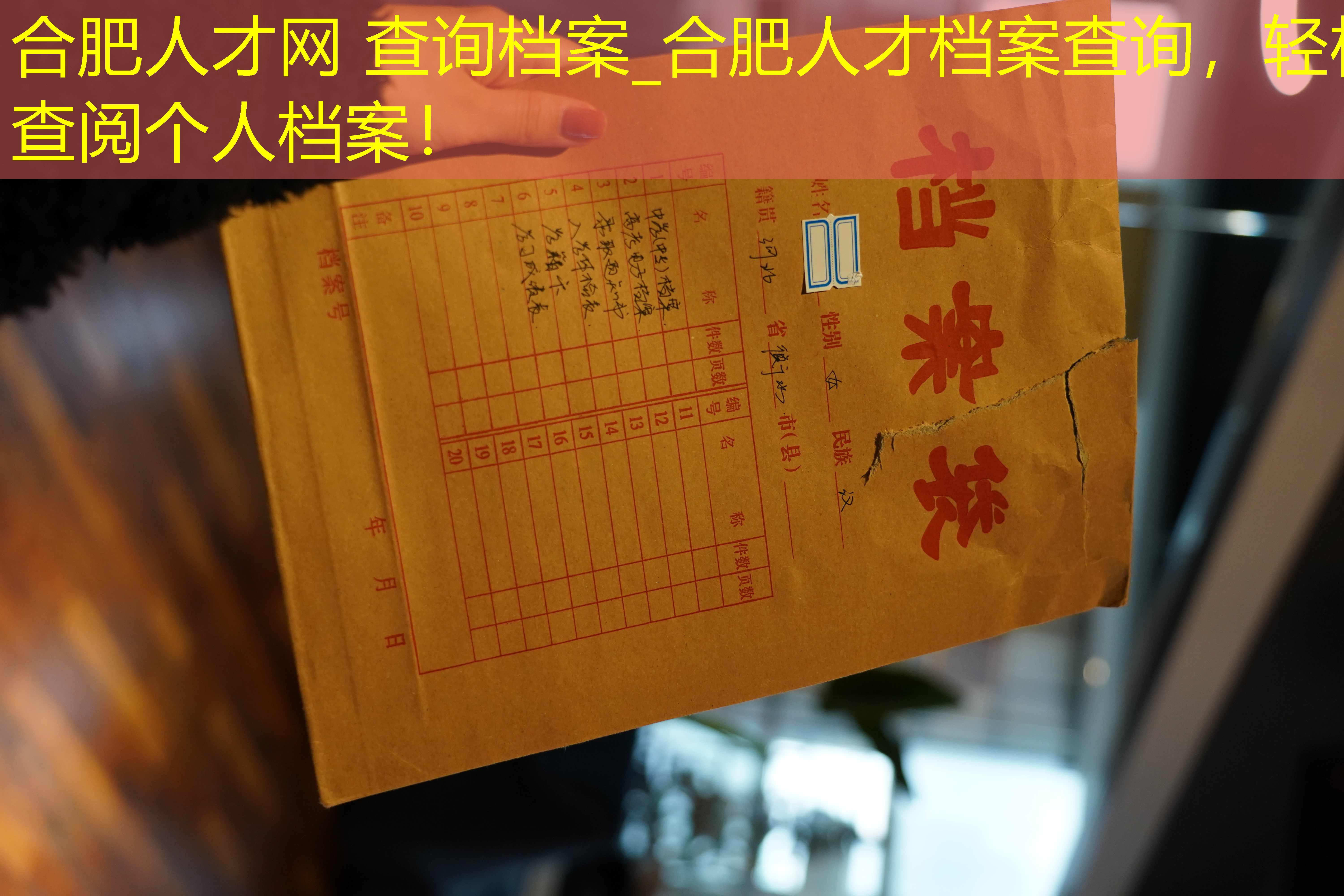 档案查询