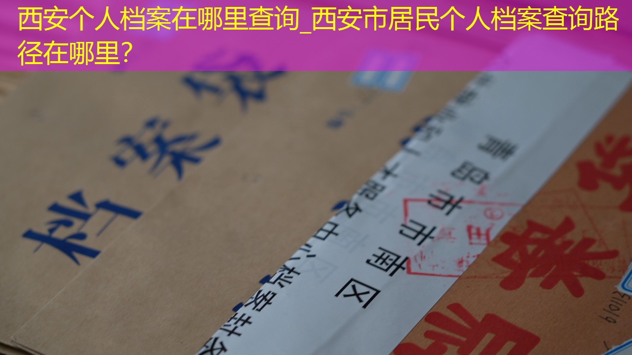 档案查询