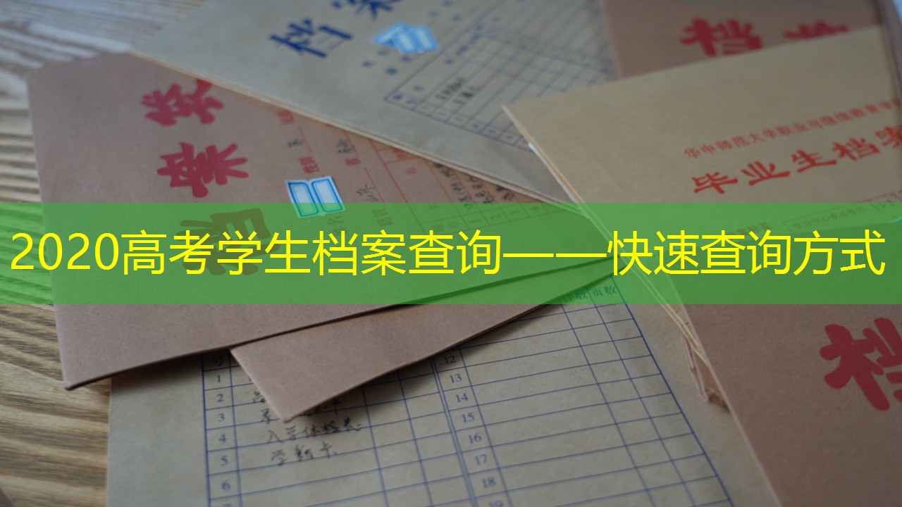 档案查询