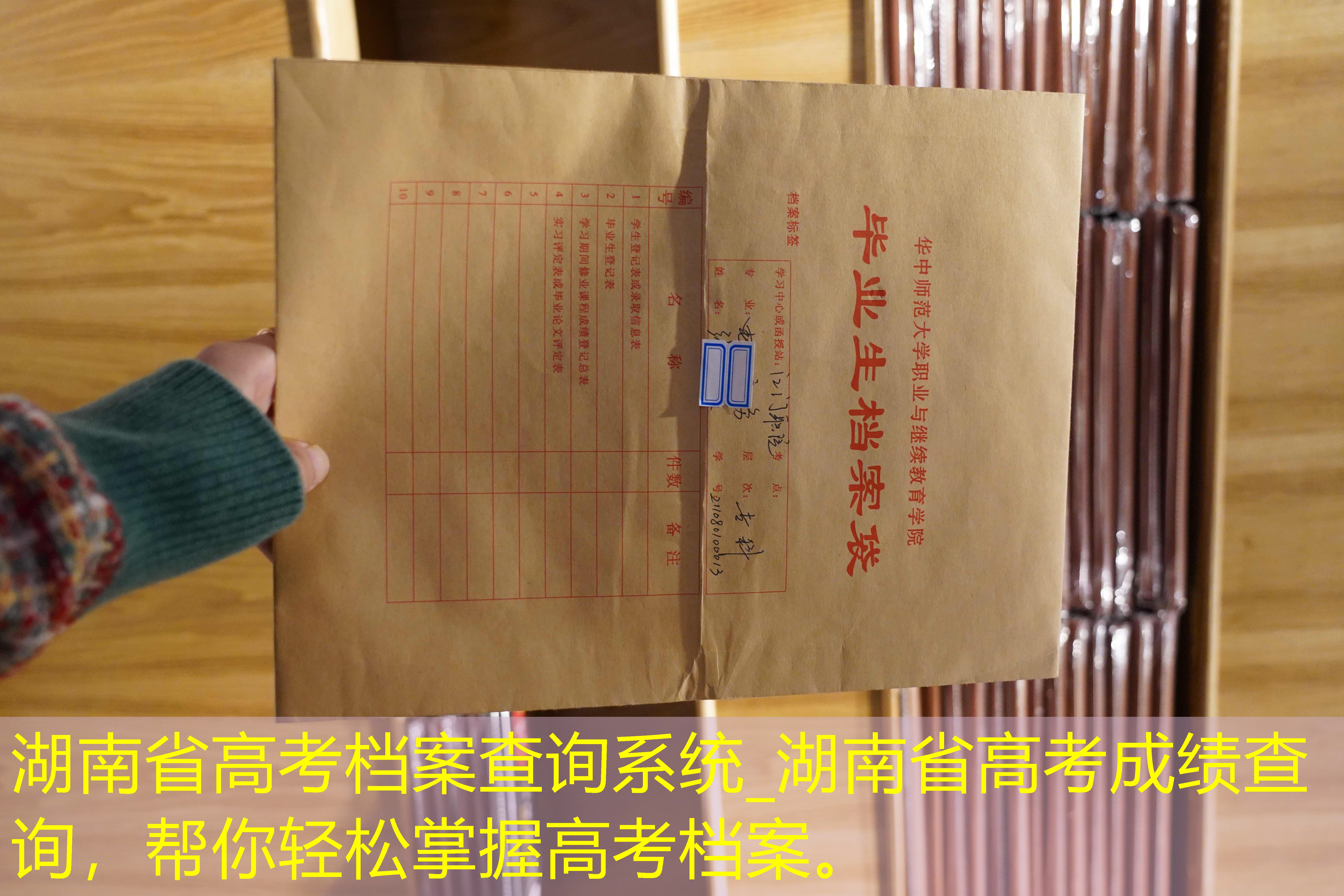 档案查询