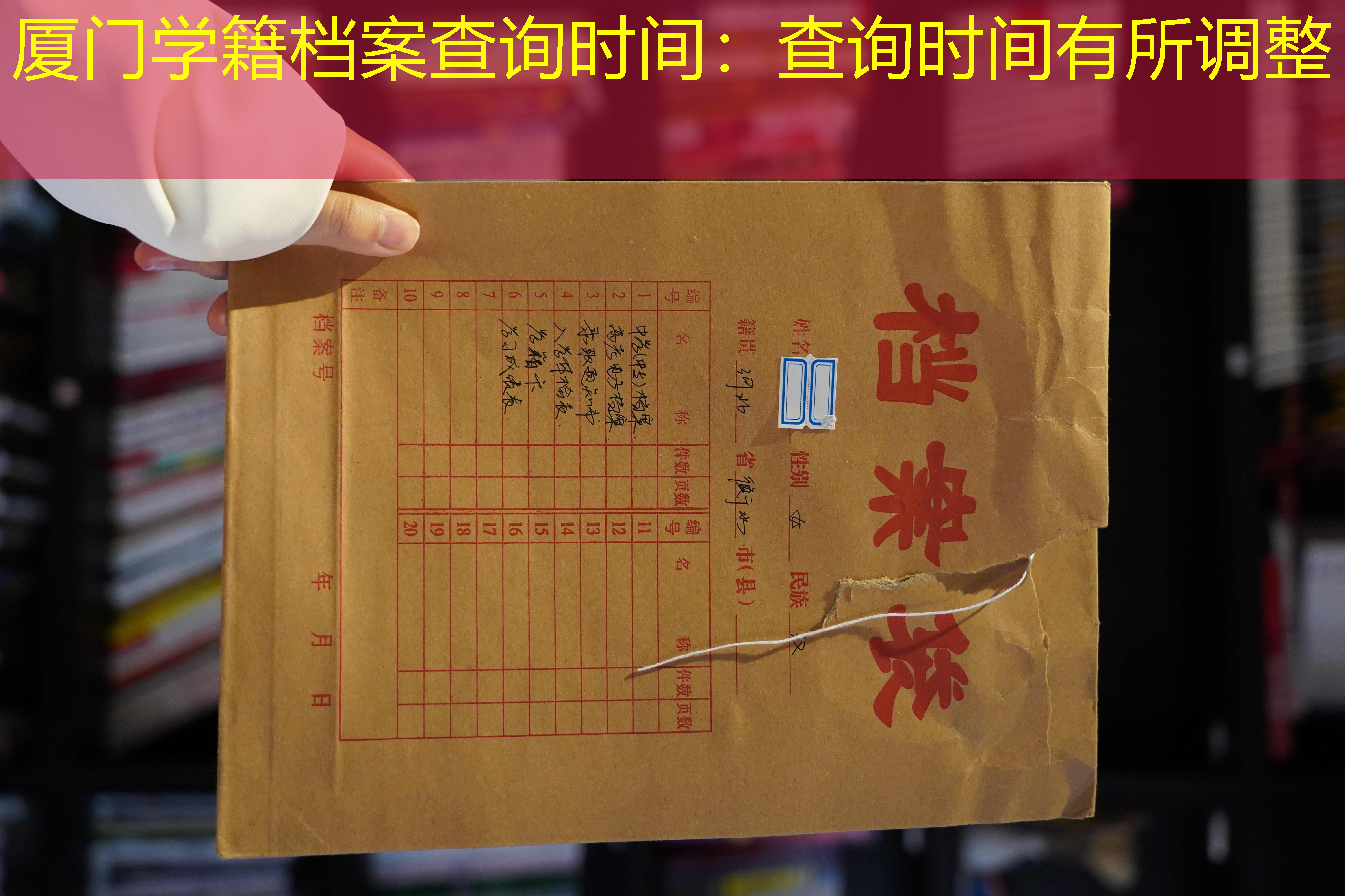 档案查询