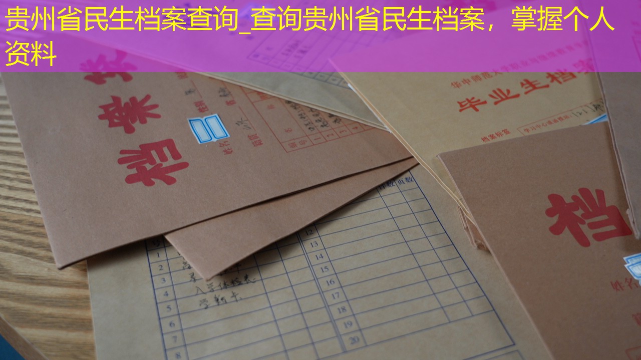 档案查询