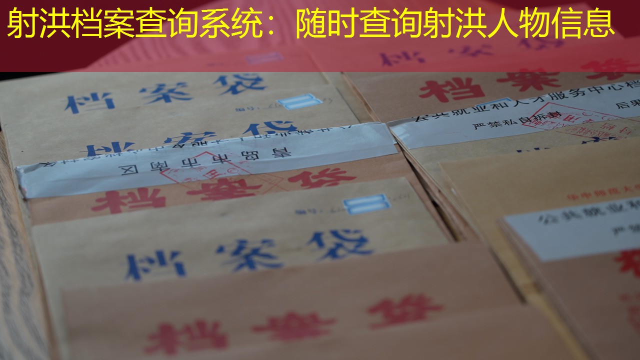档案查询