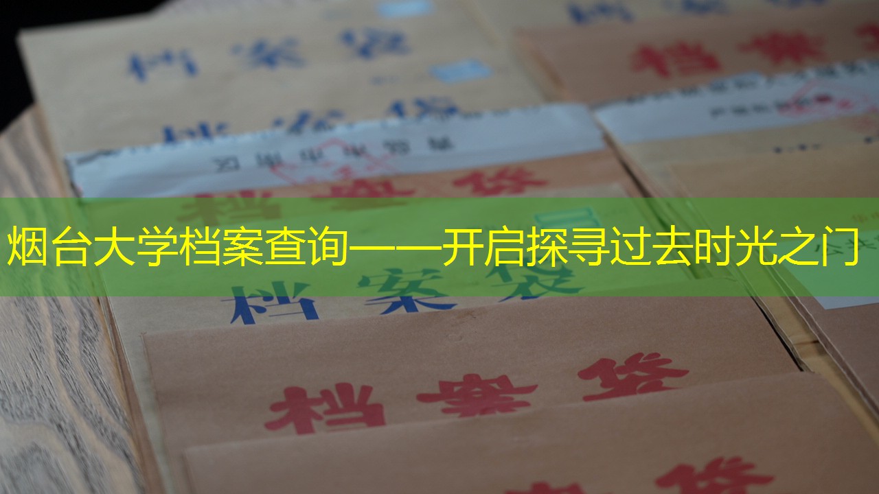 档案查询