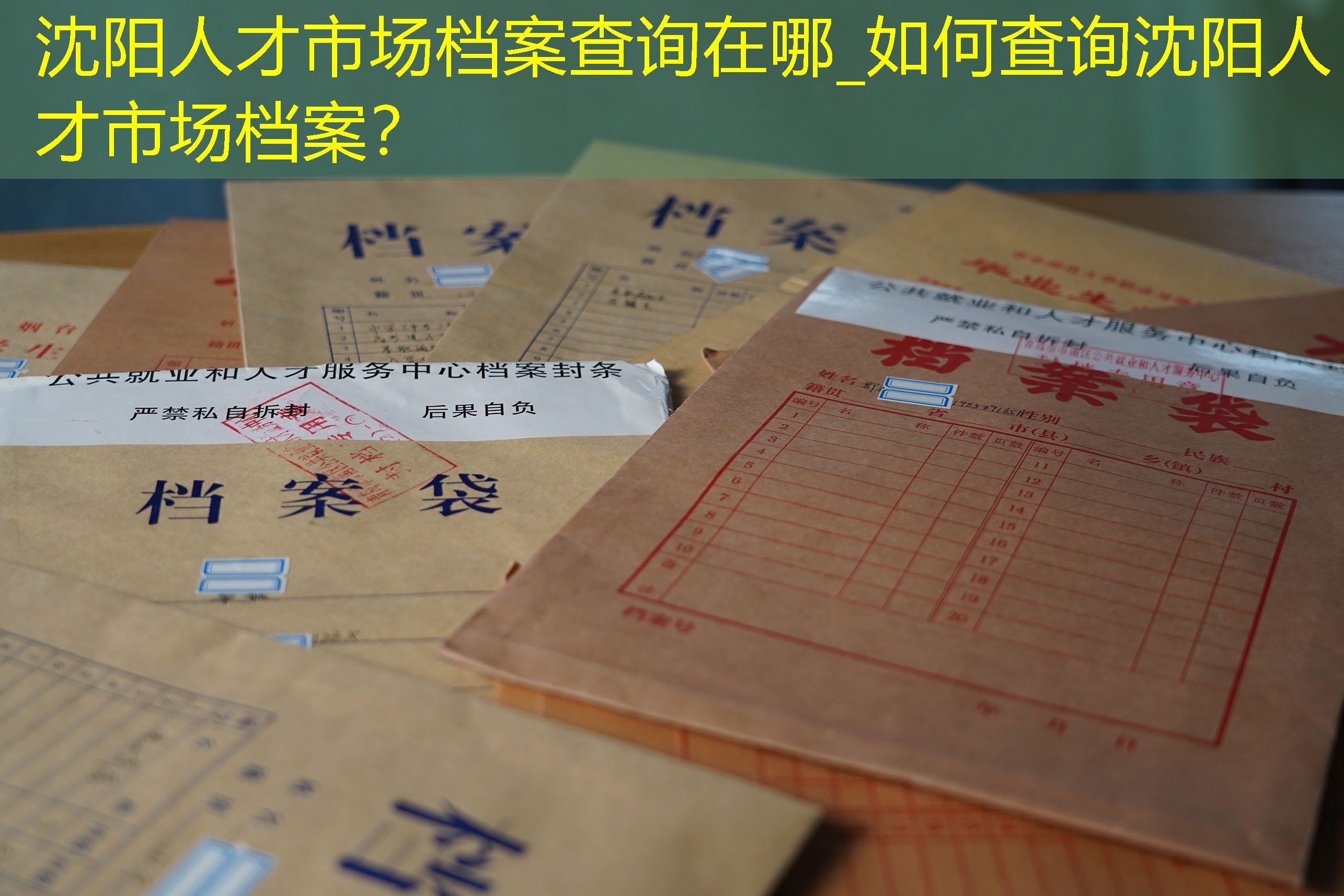 档案查询