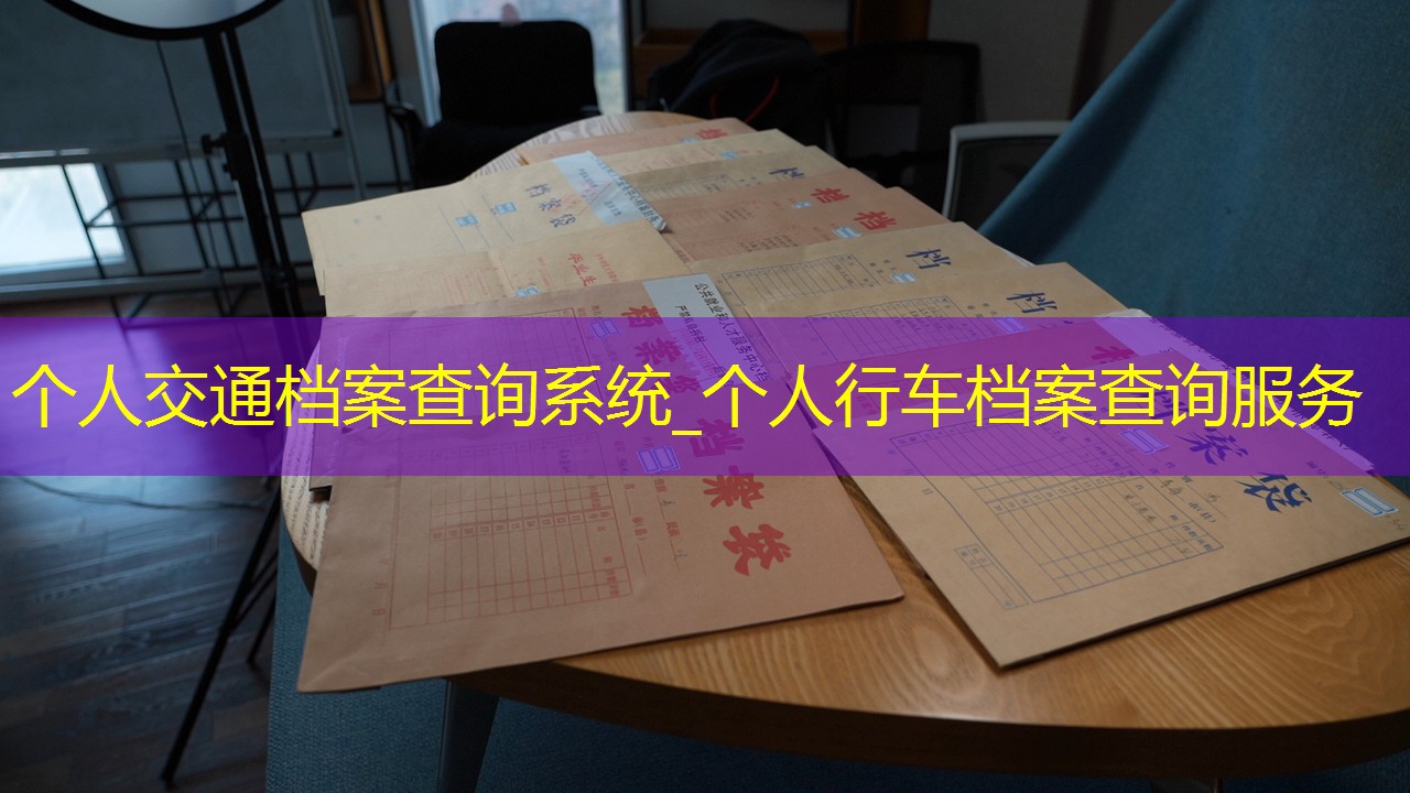 档案查询