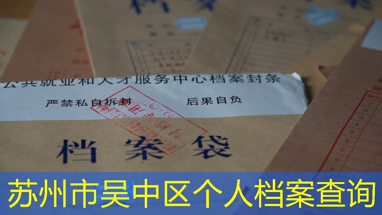 档案查询