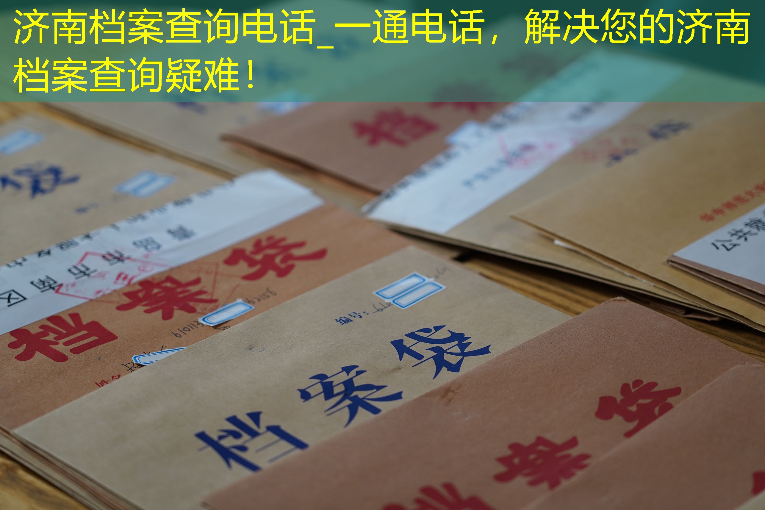 档案查询