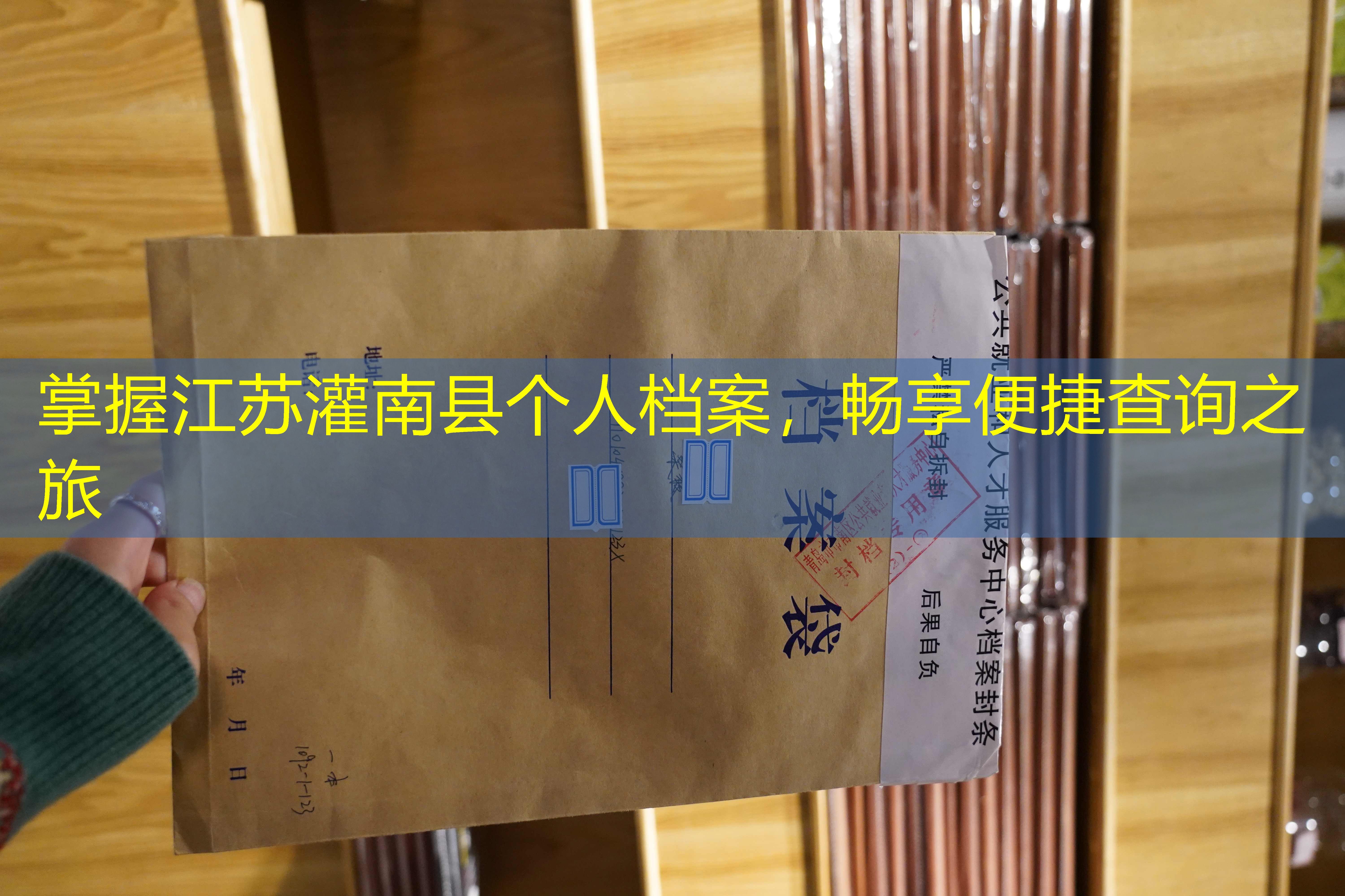 档案查询