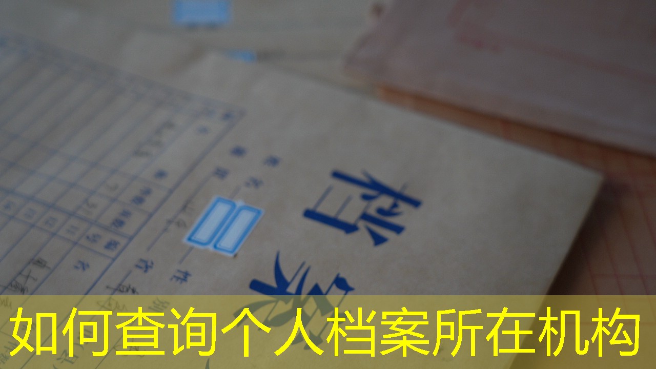 档案查询