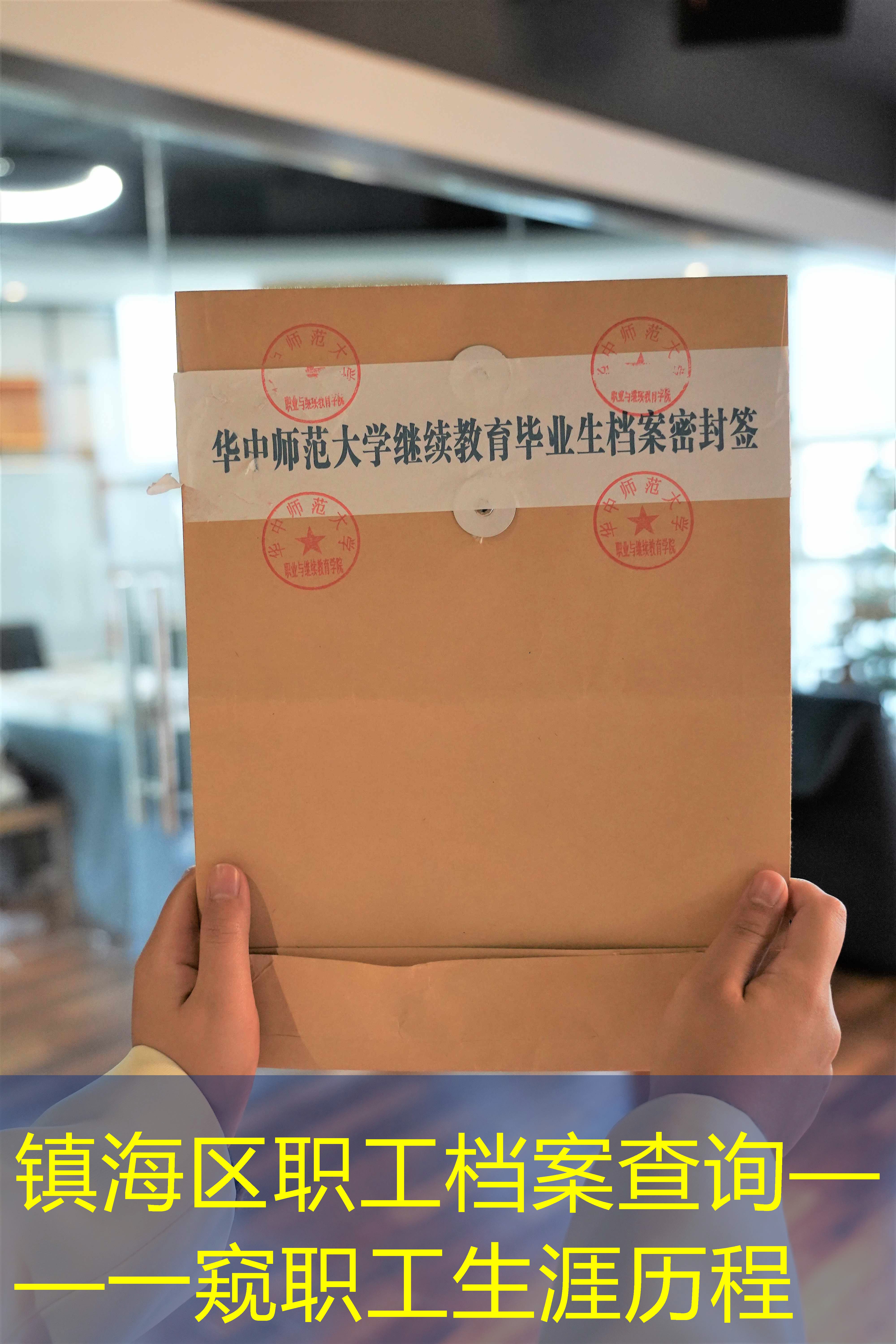 档案查询