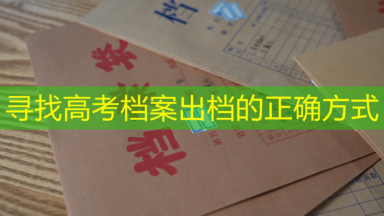 档案查询