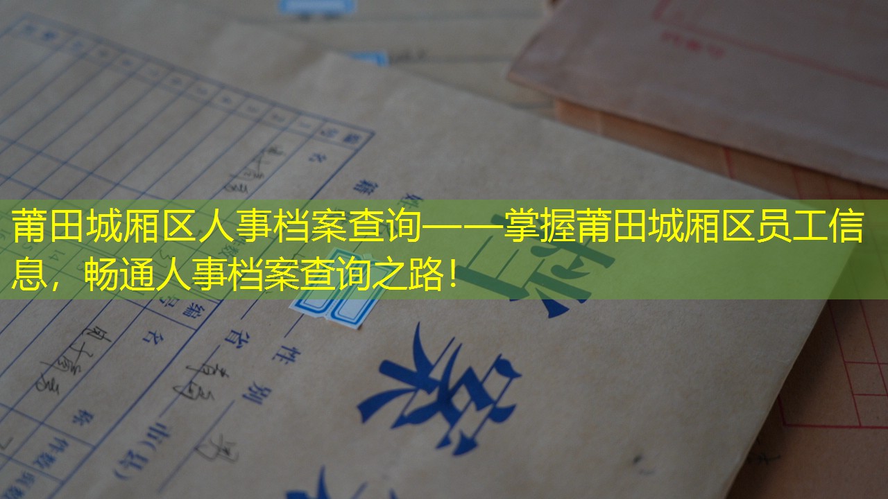 档案查询