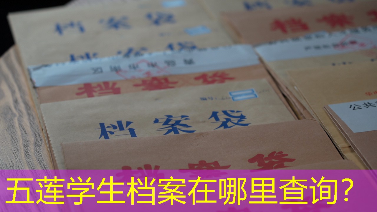 档案查询