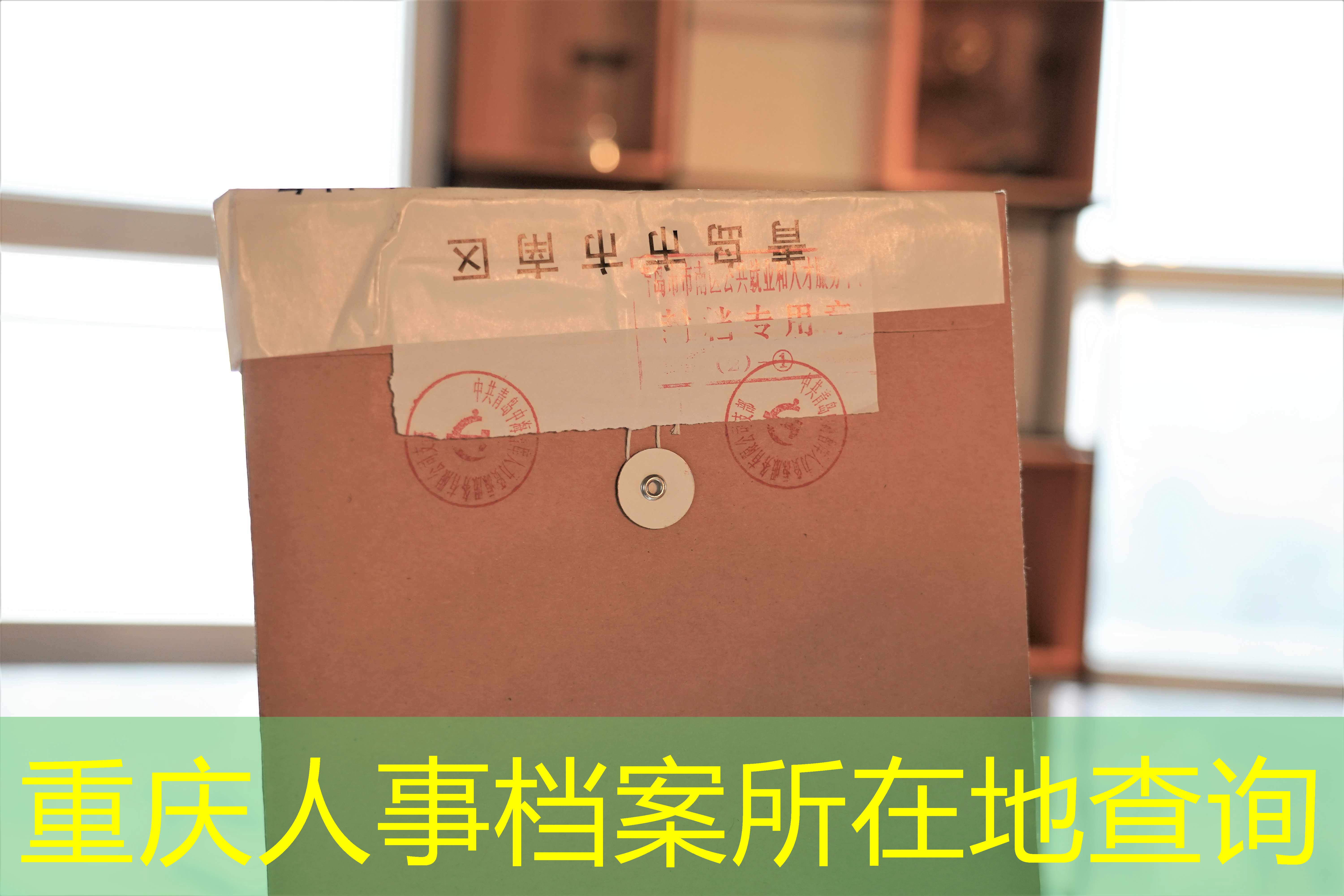 档案查询