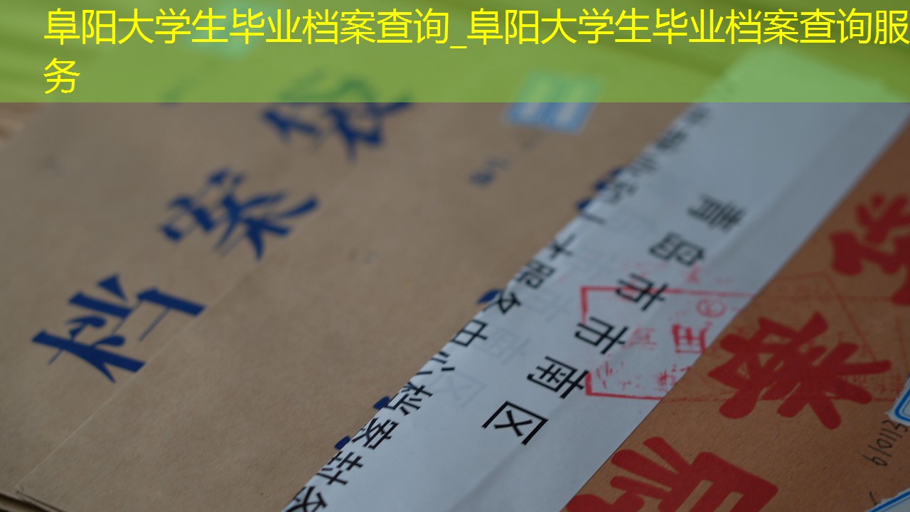 档案查询