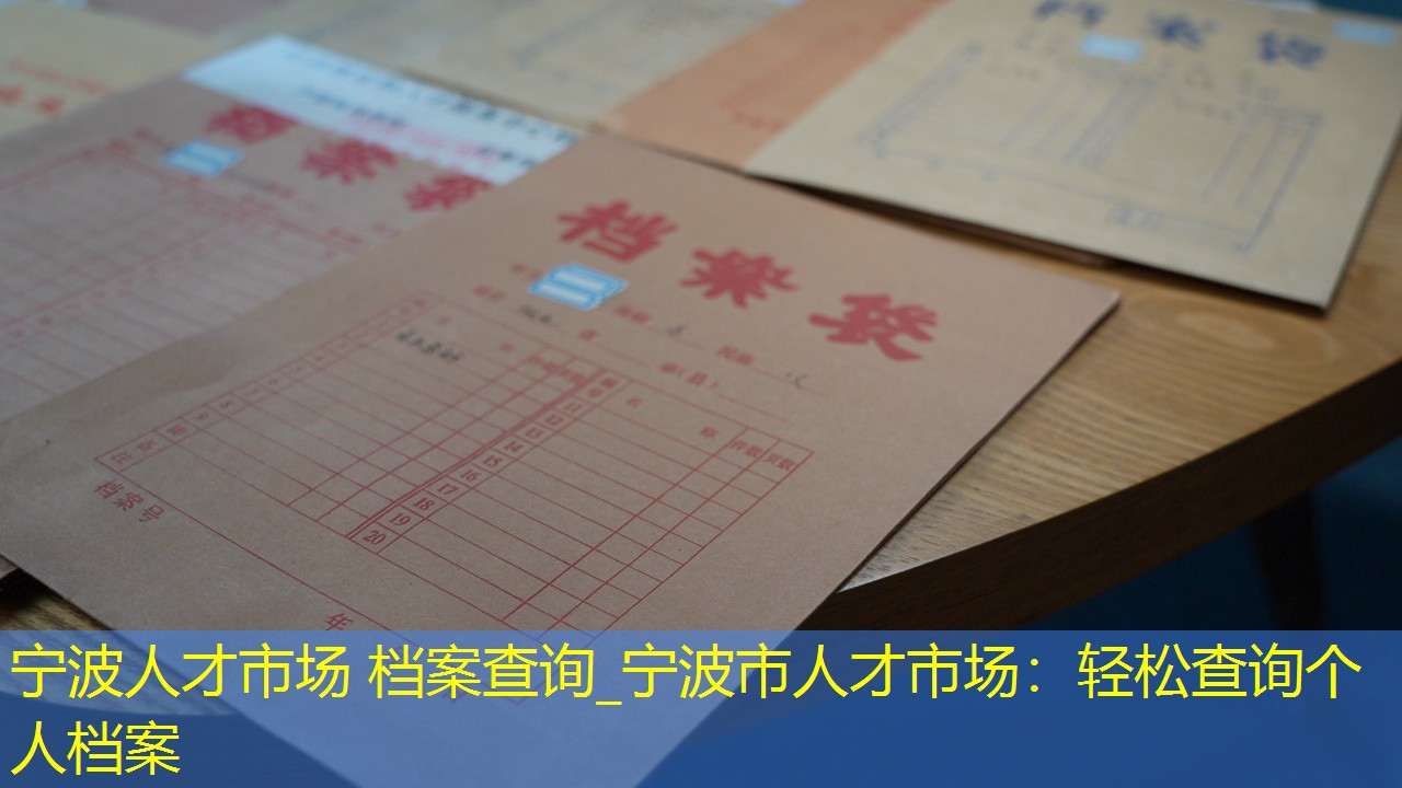 档案查询
