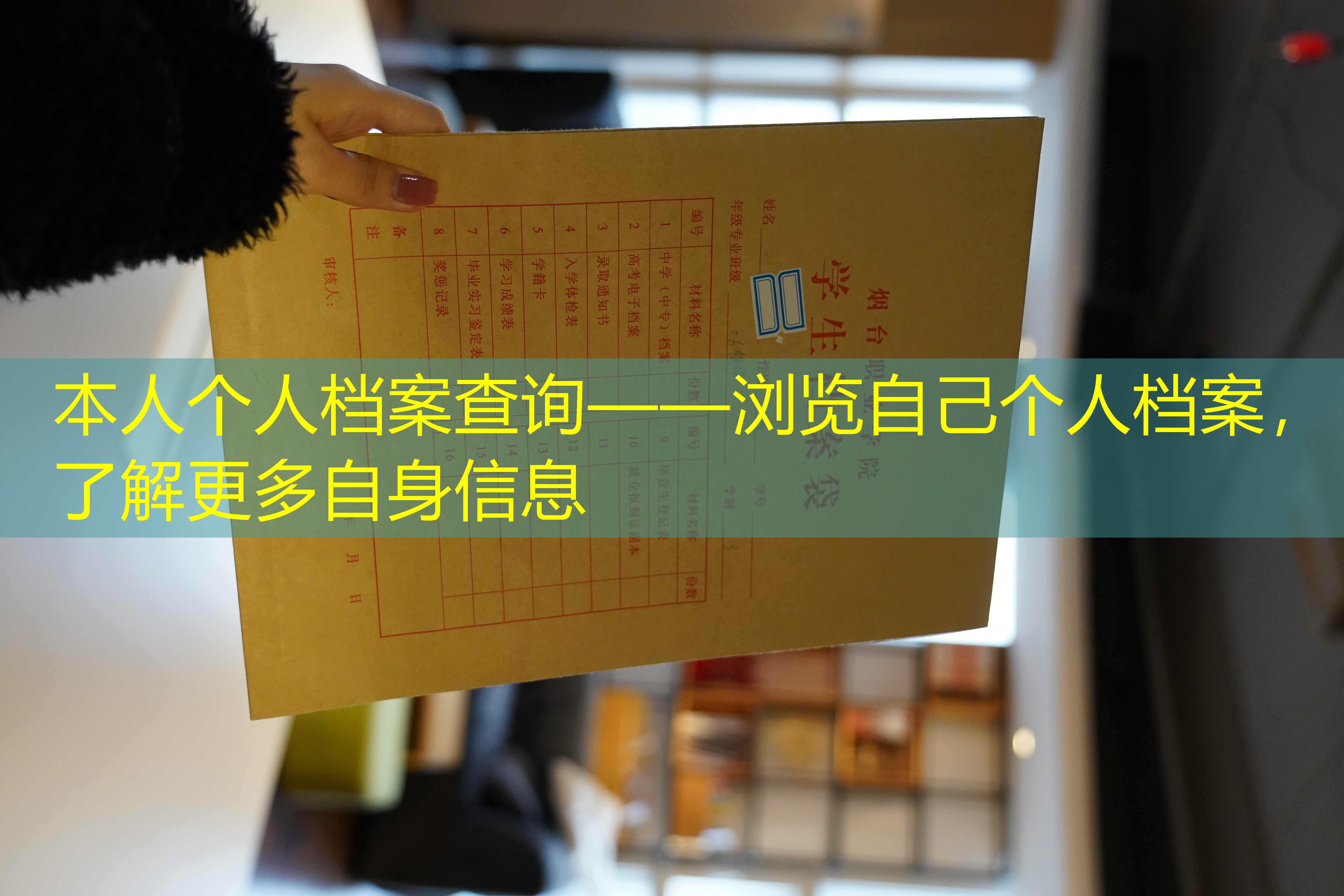 档案查询