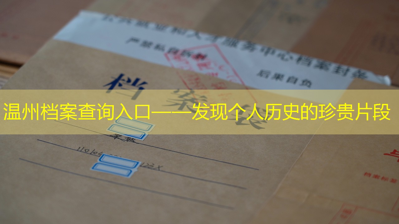 档案查询