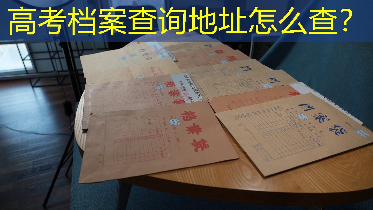 档案查询