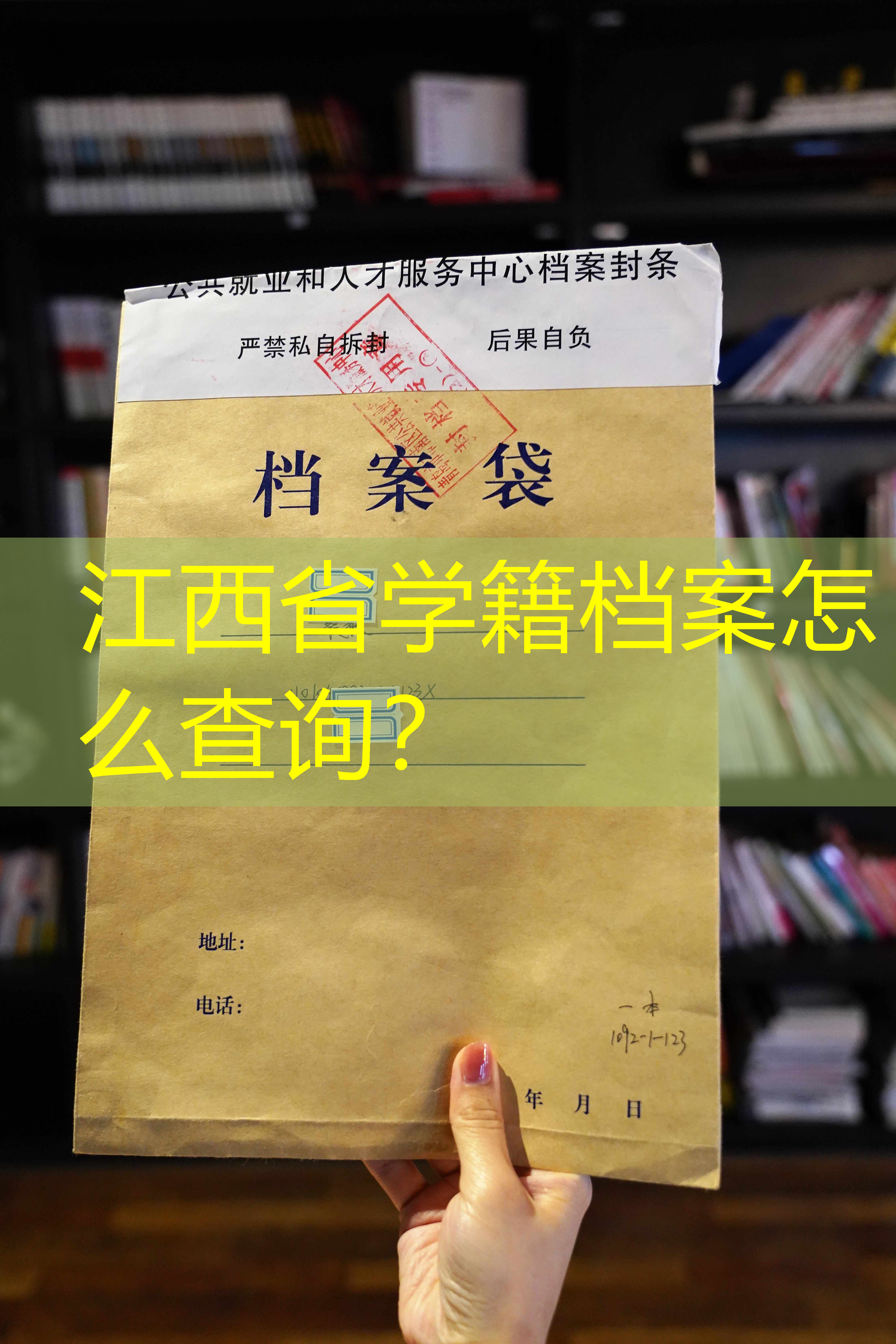 档案查询