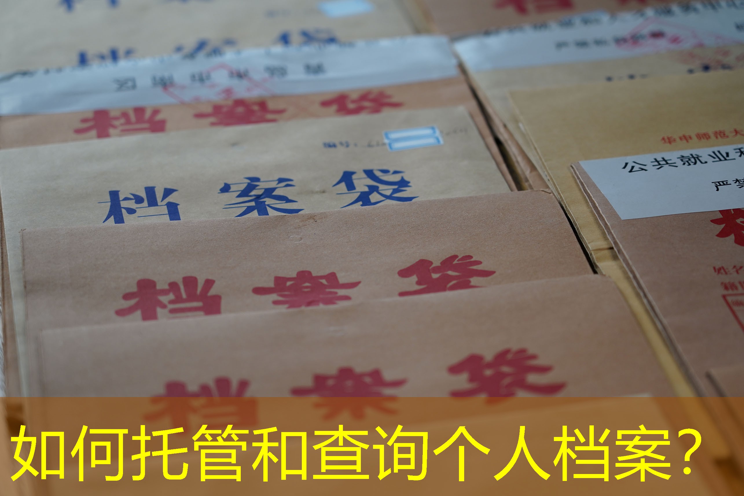 档案查询