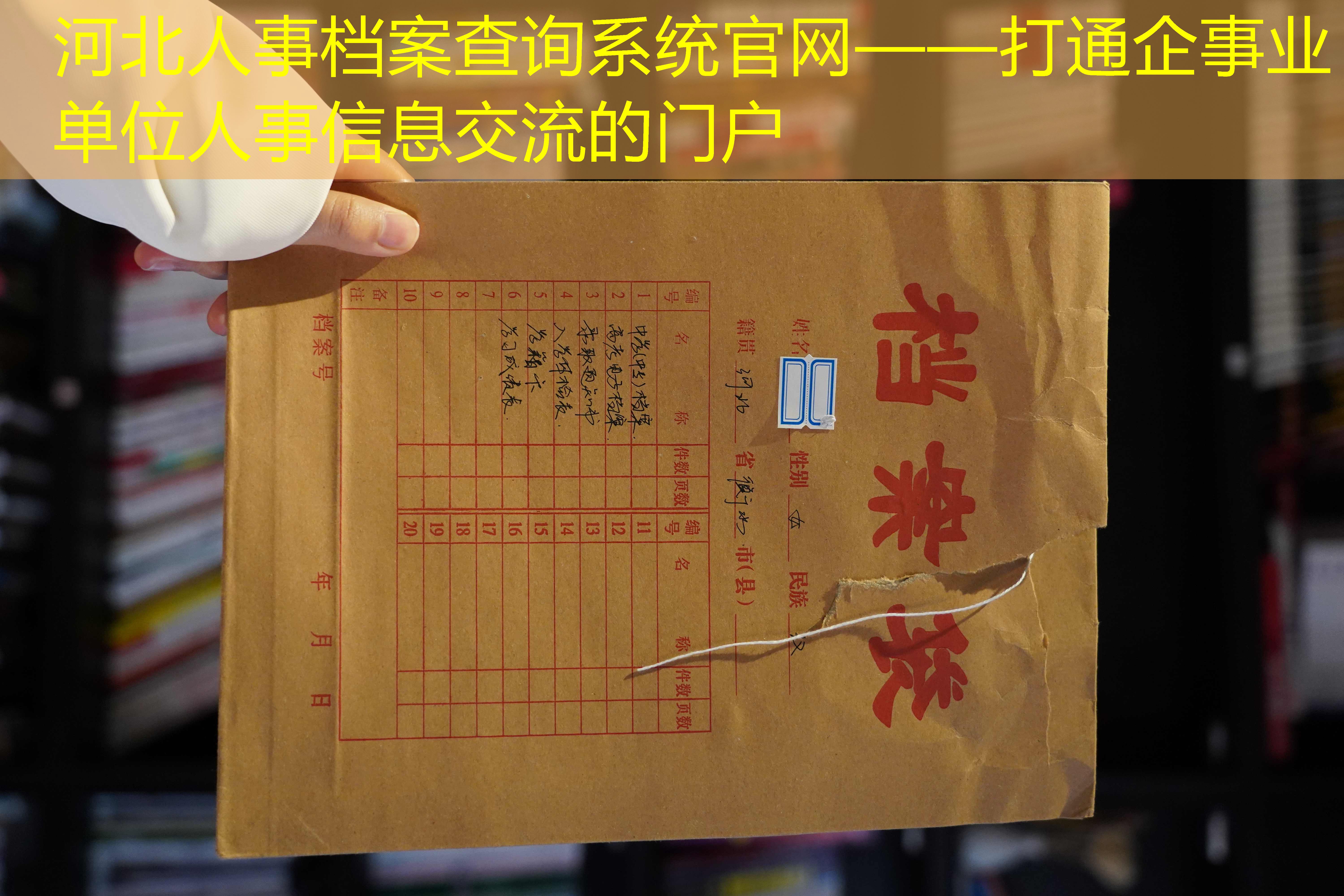 档案查询