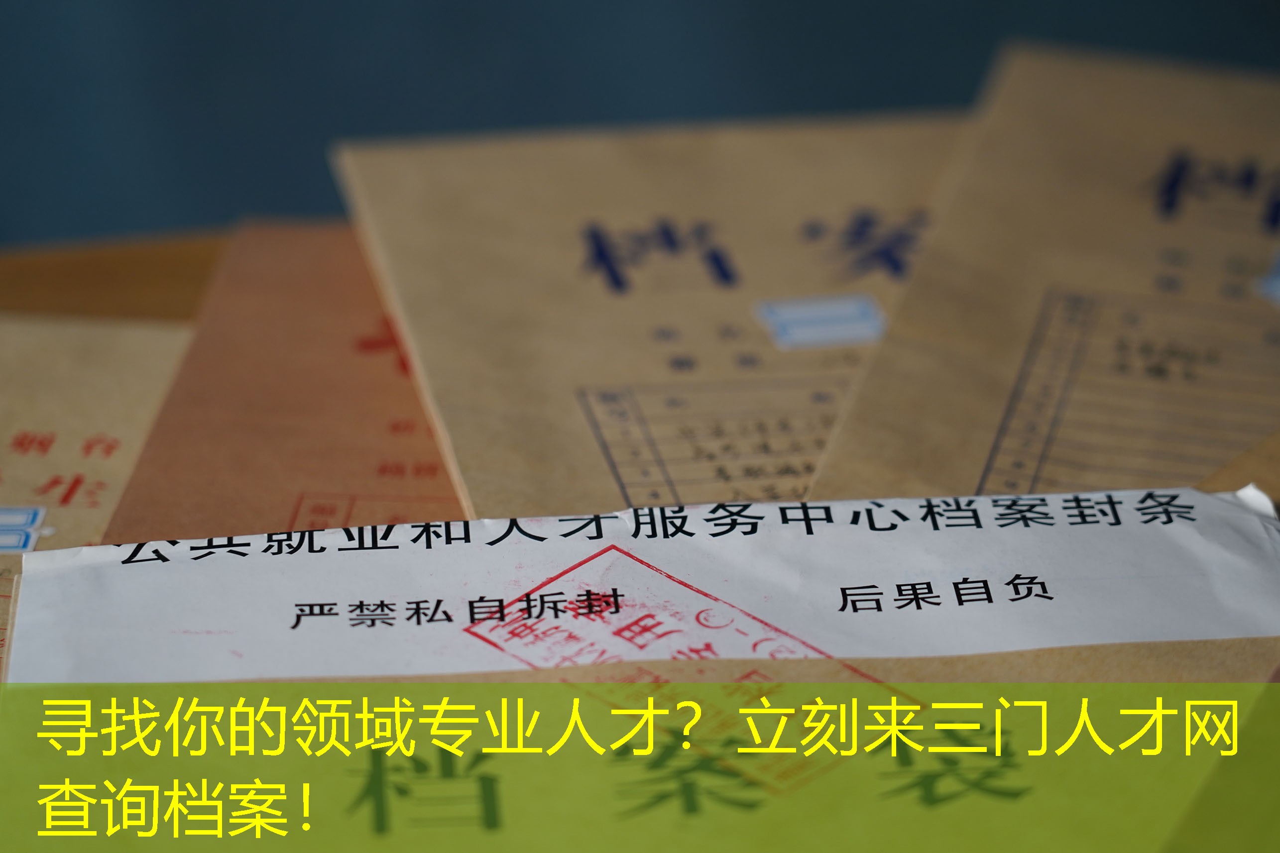 档案查询