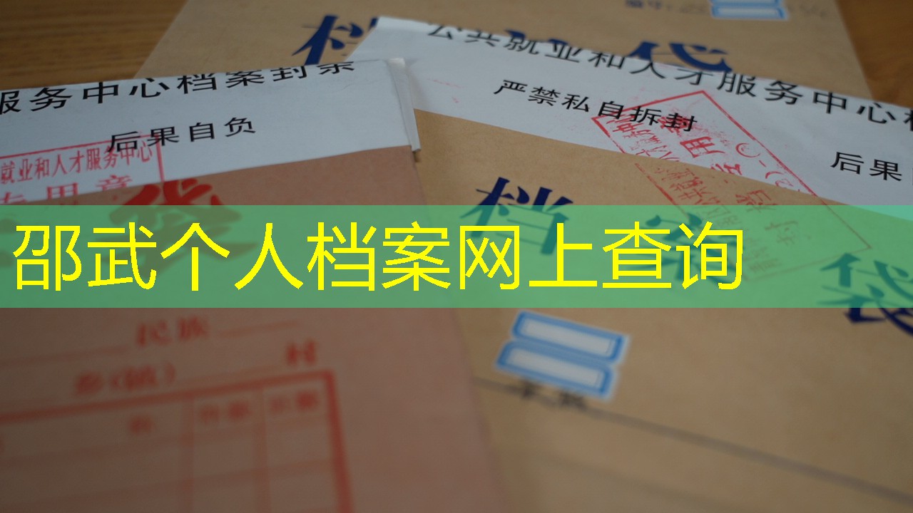 档案查询