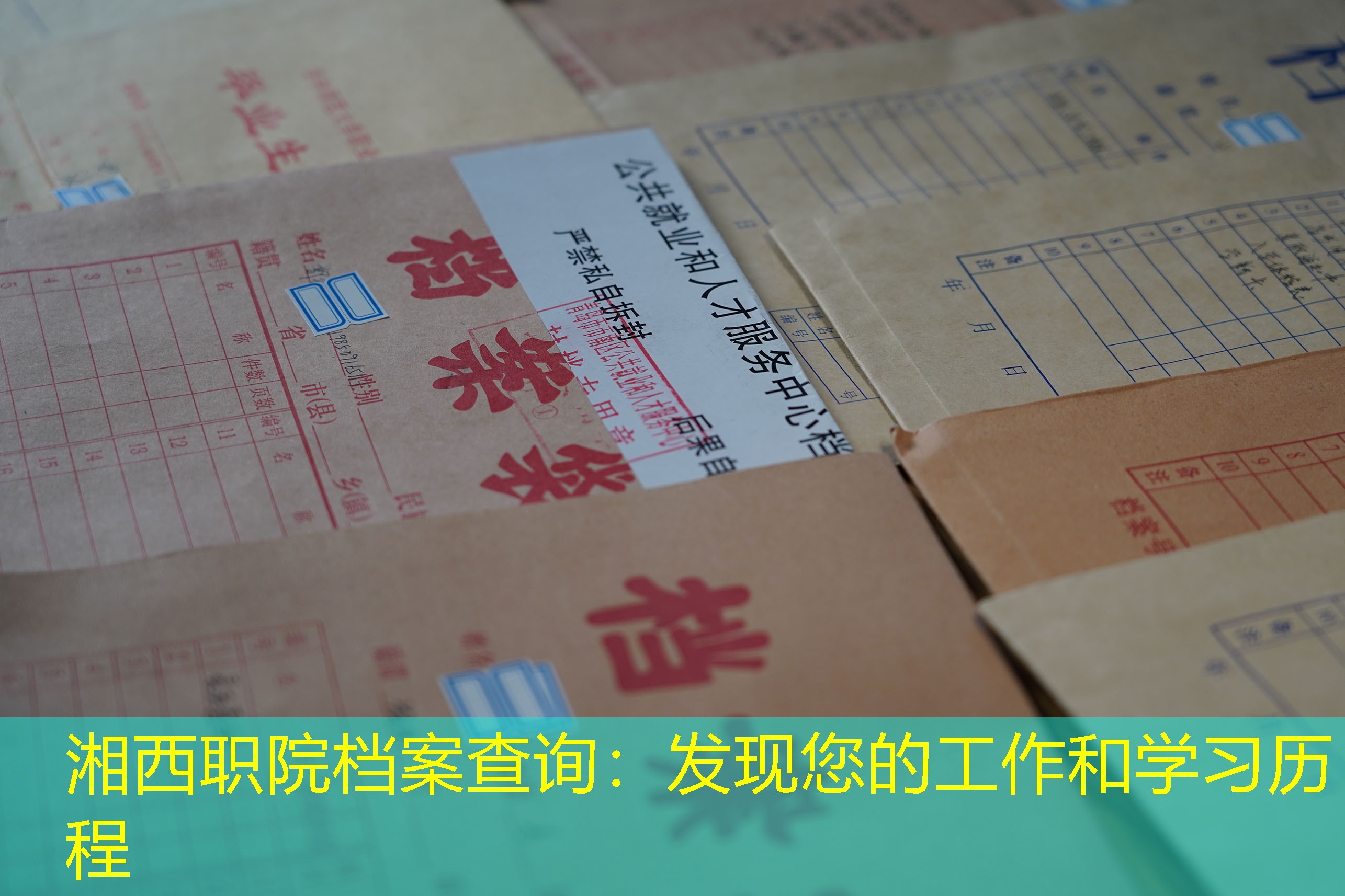 档案查询