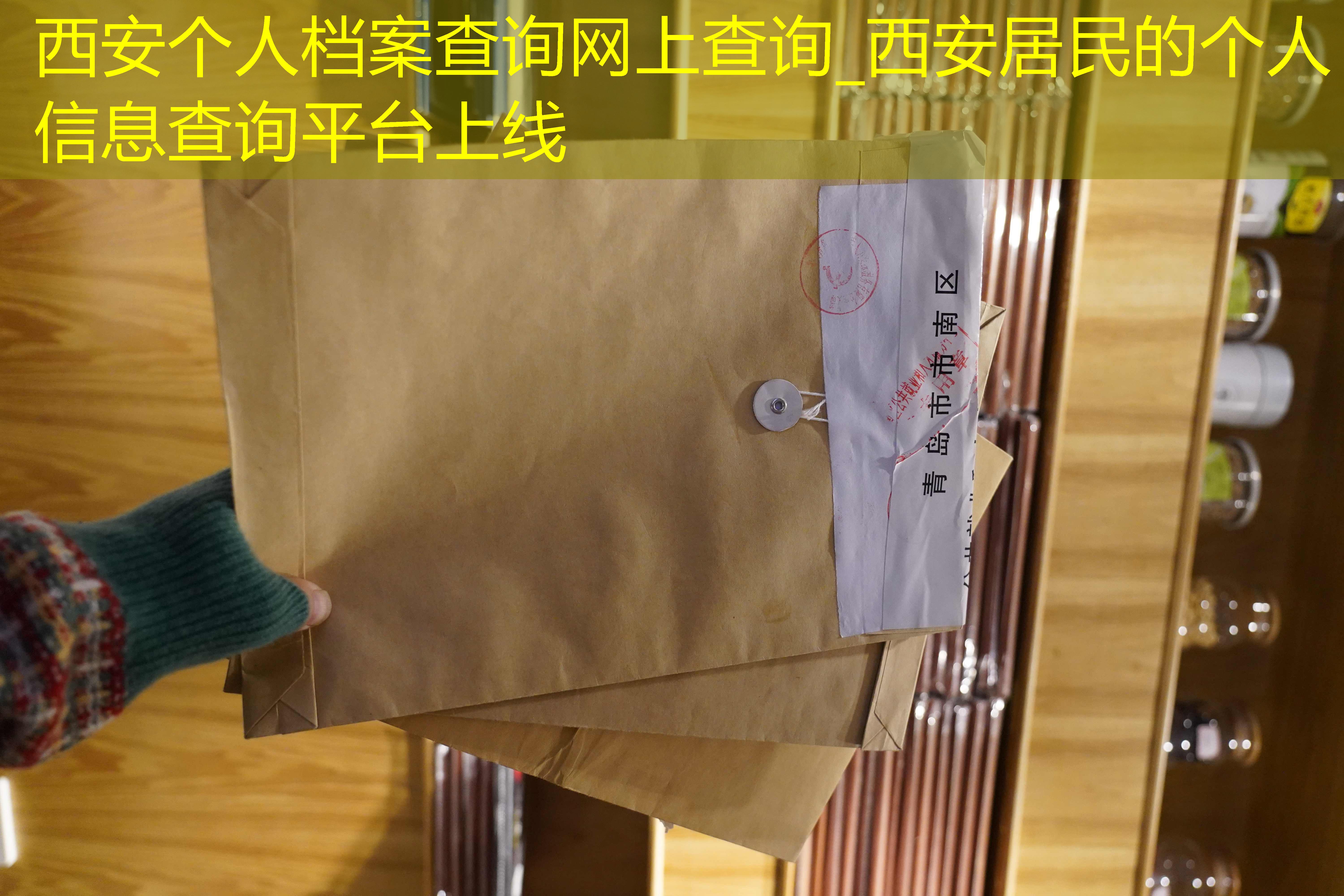 档案查询